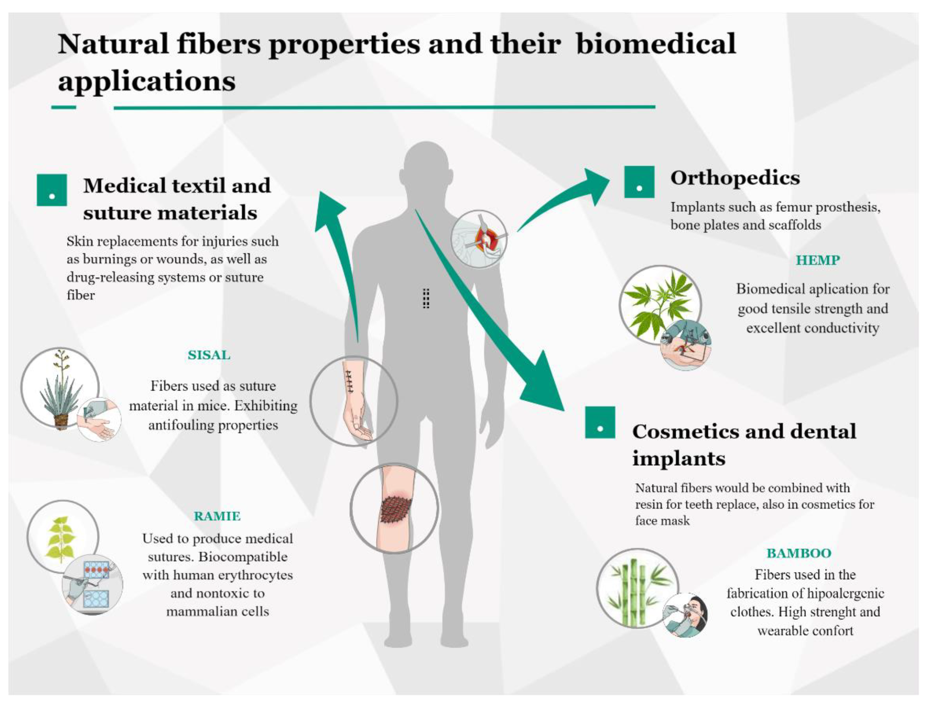 Molecules 27 07999 g002