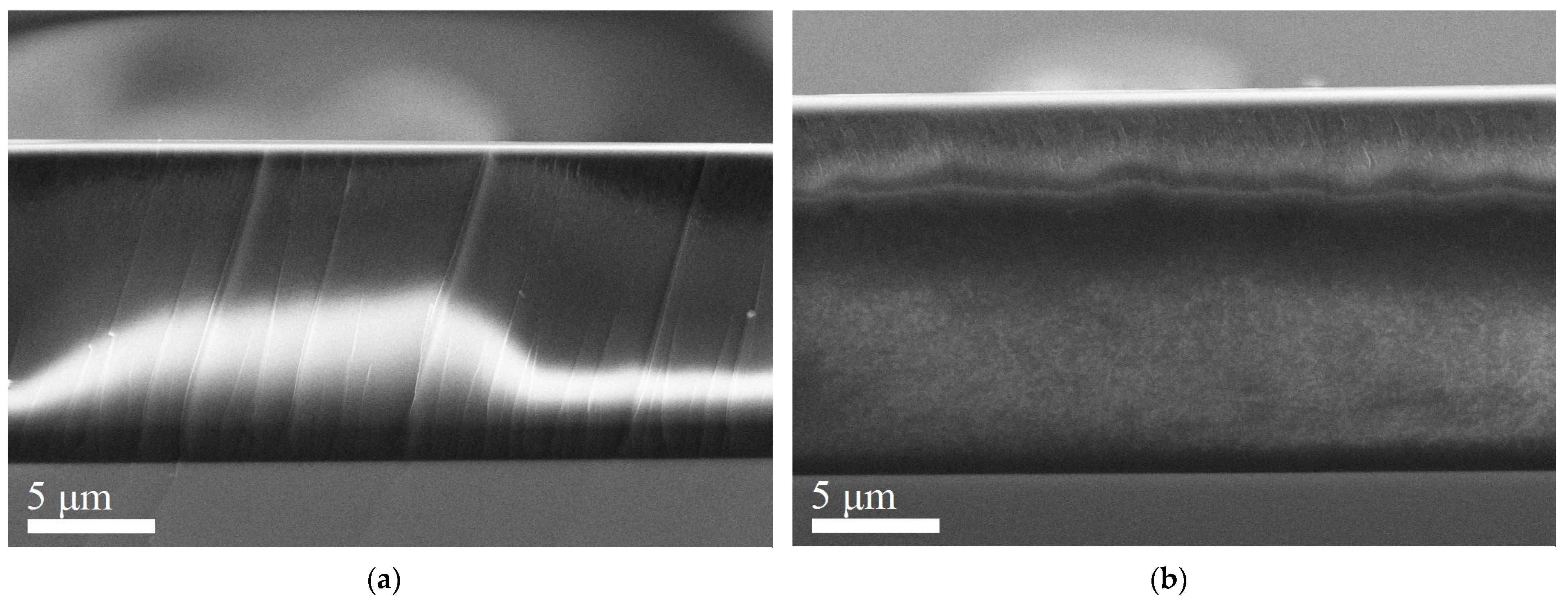 Molecules 27 08000 g004a Molecules 27 08000 g004a