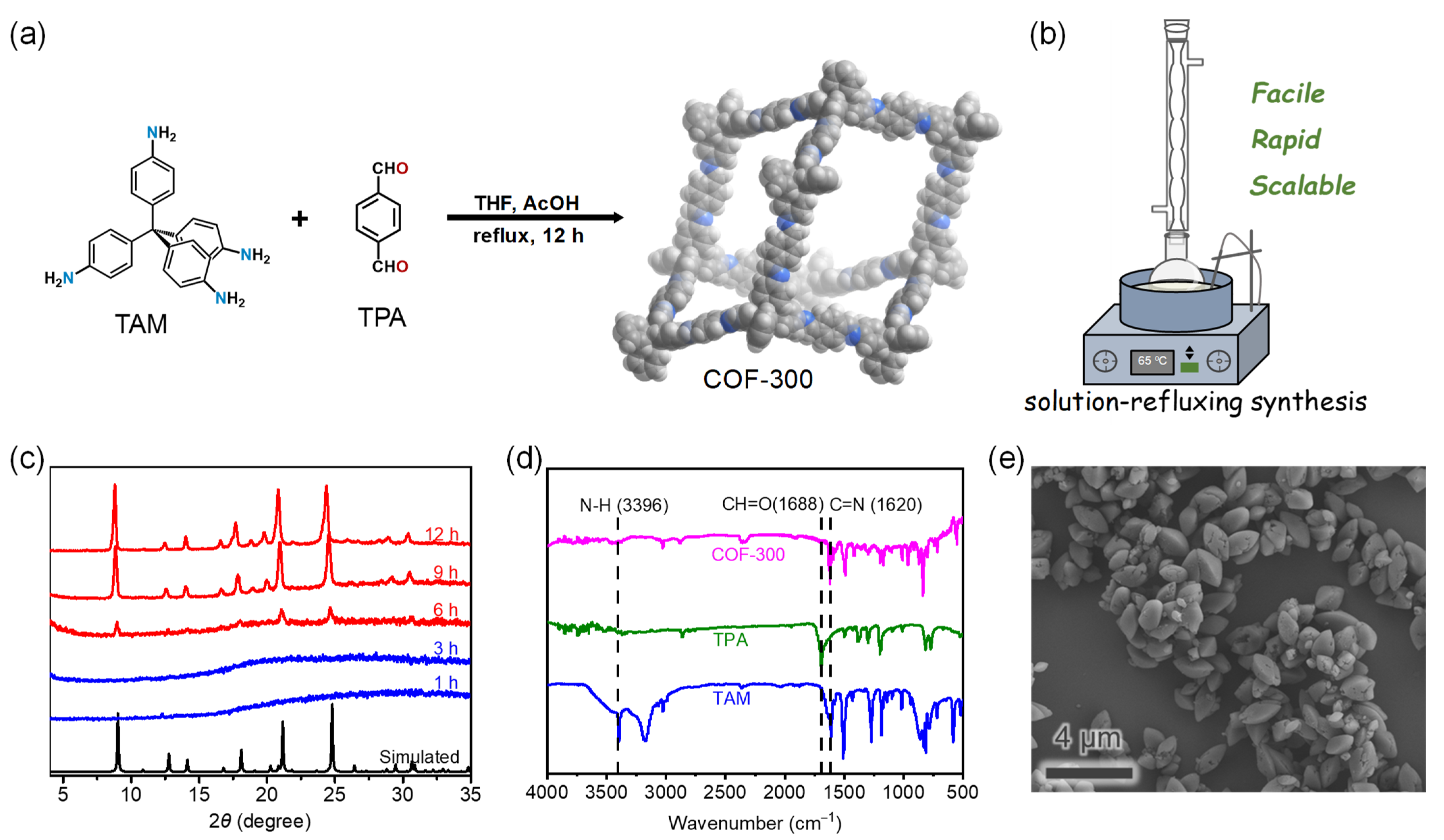 Molecules 27 08002 g002