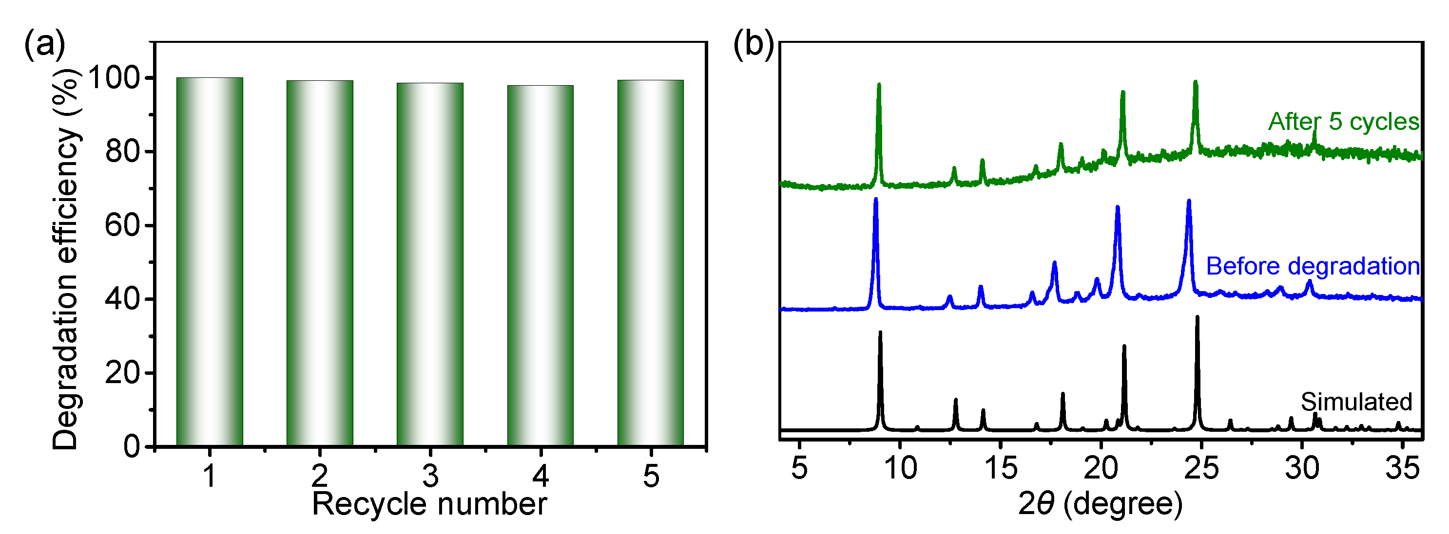 Molecules 27 08002 g005