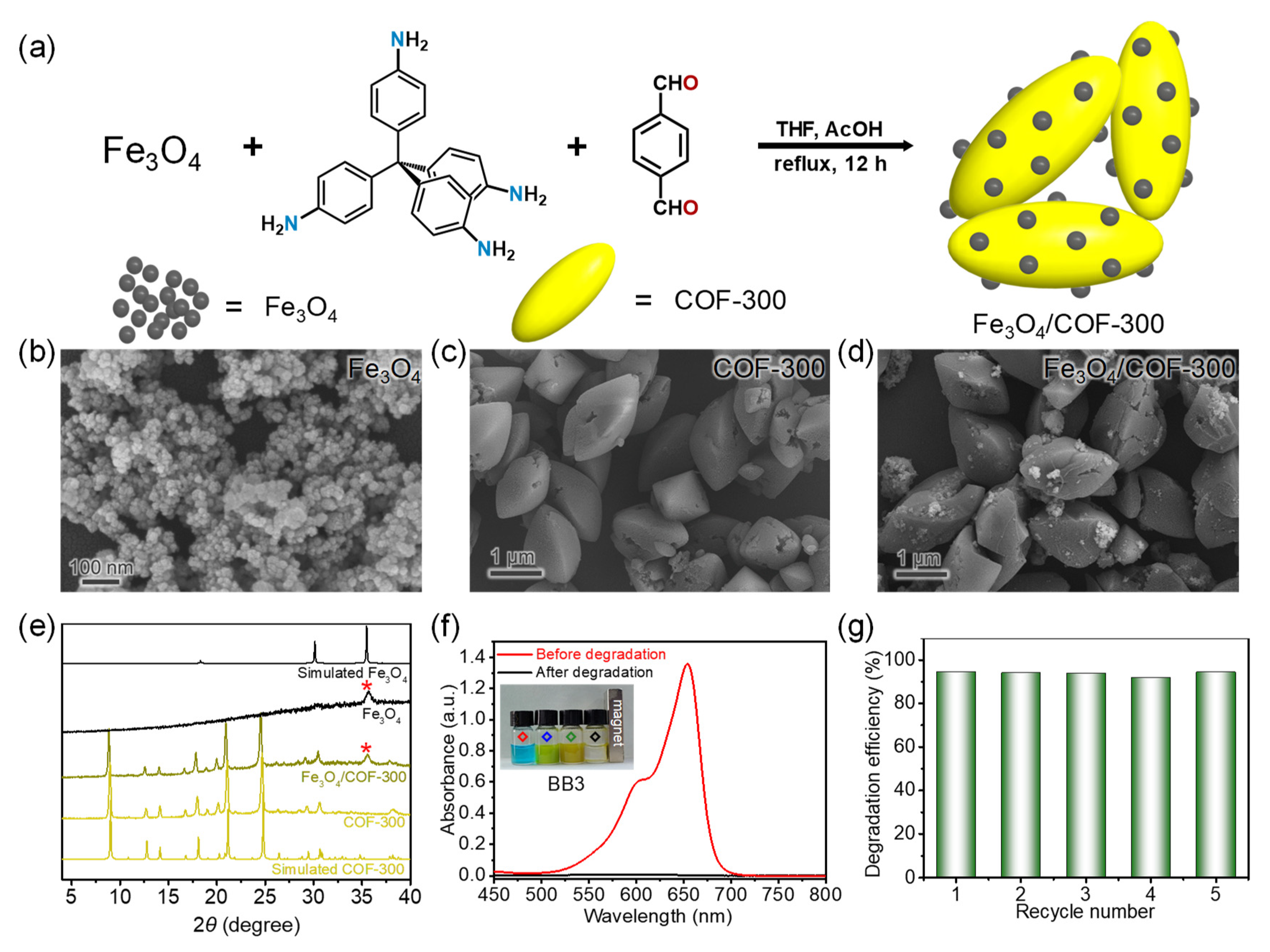 Molecules 27 08002 g008