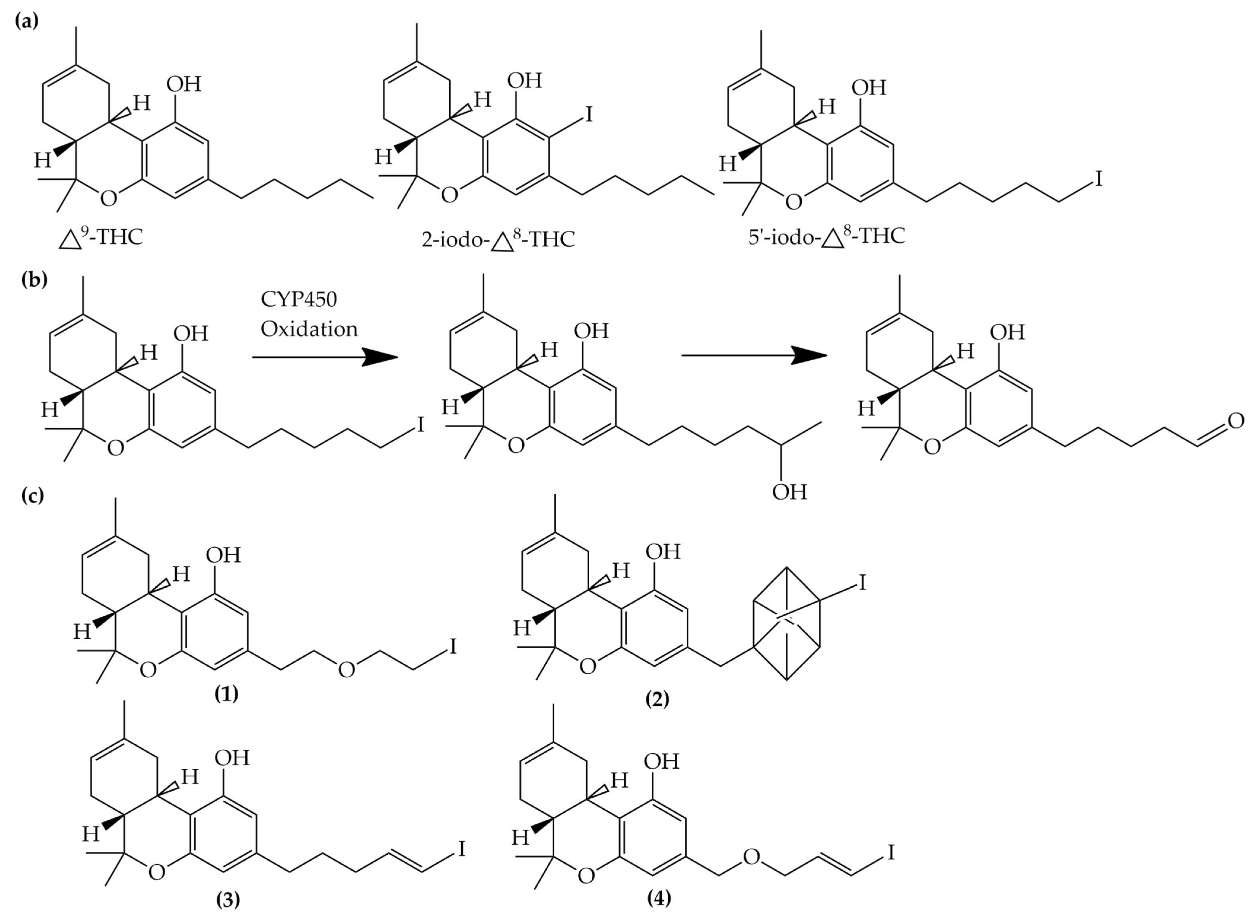 Molecules 27 08009 g006 Molecules 27 08009 g006