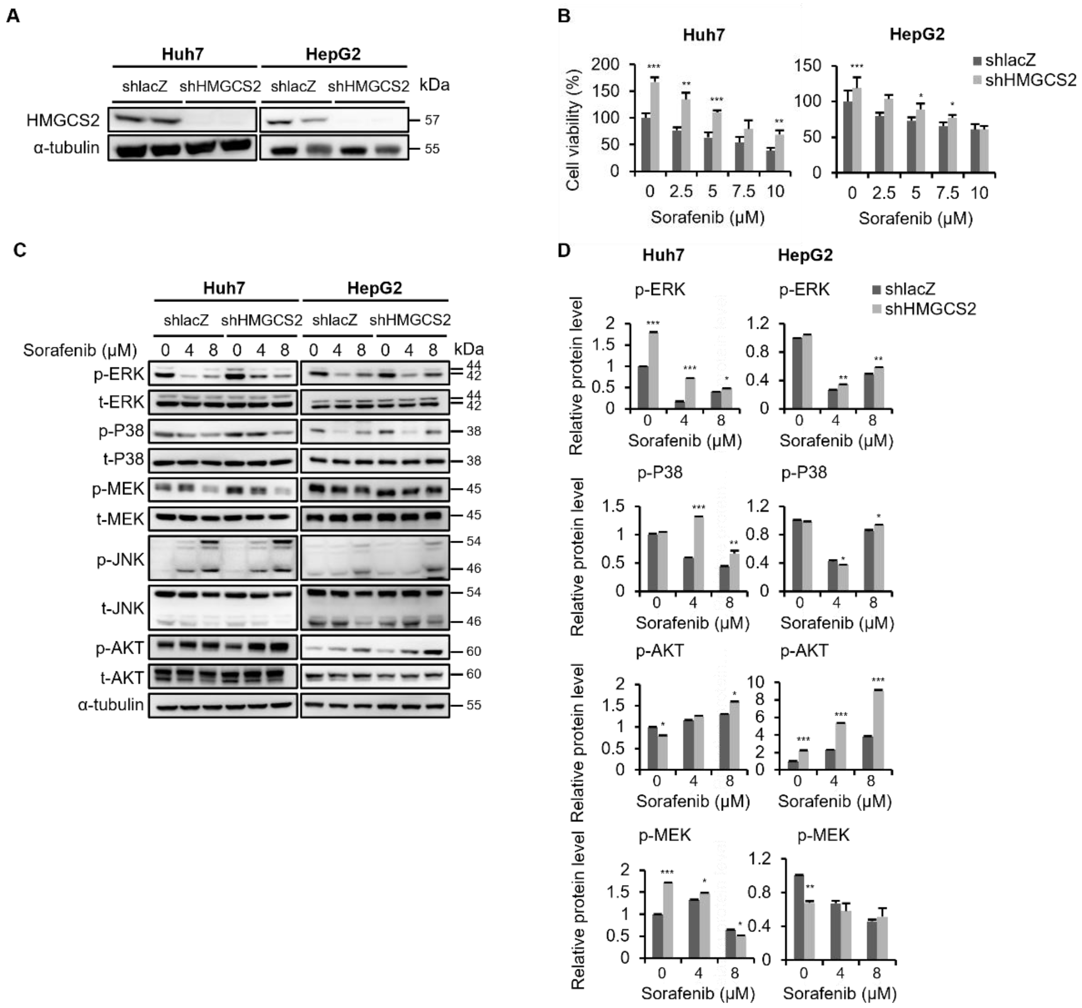 Molecules 27 08015 g001