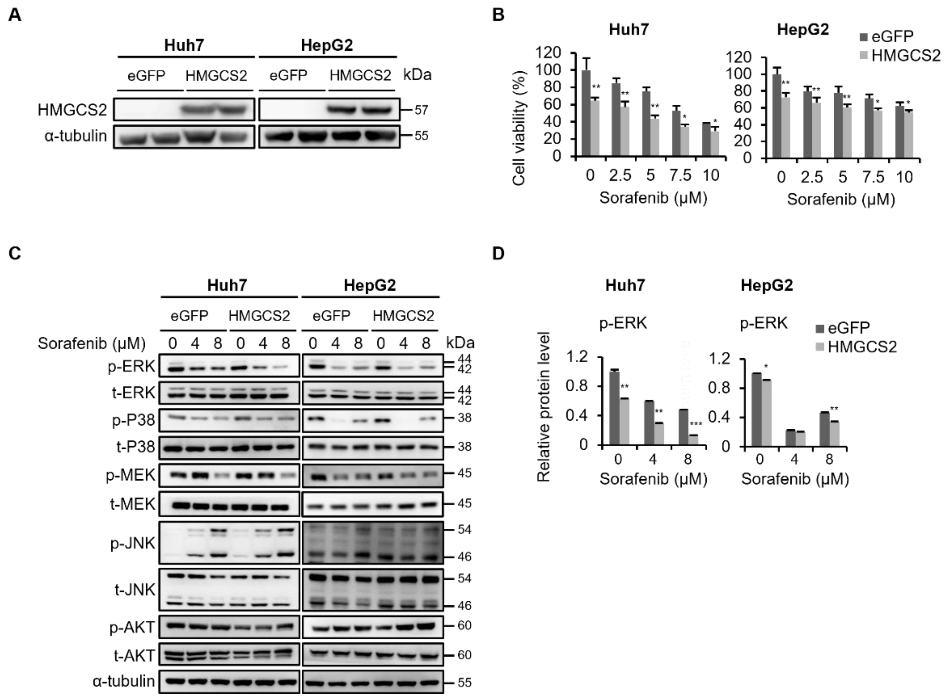 Molecules 27 08015 g002