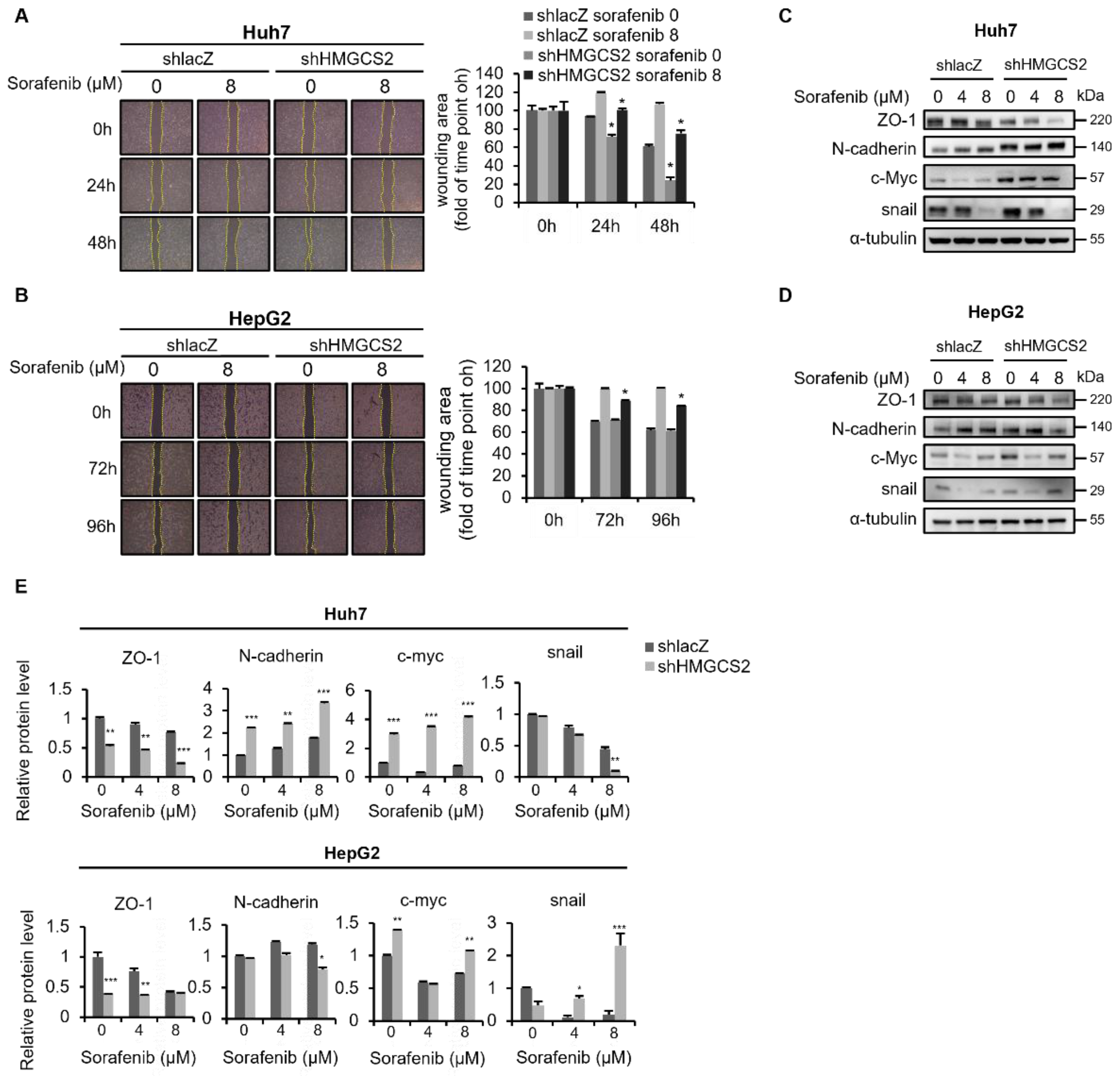 Molecules 27 08015 g003
