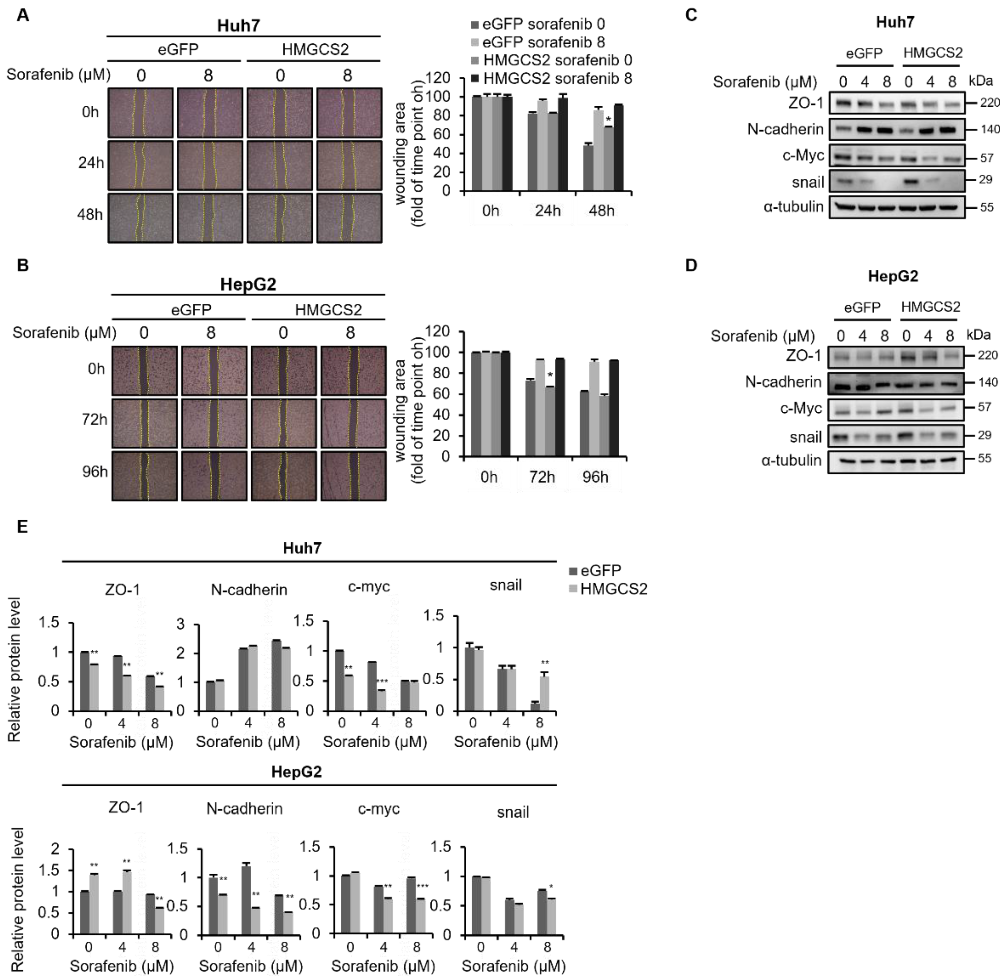 Molecules 27 08015 g004