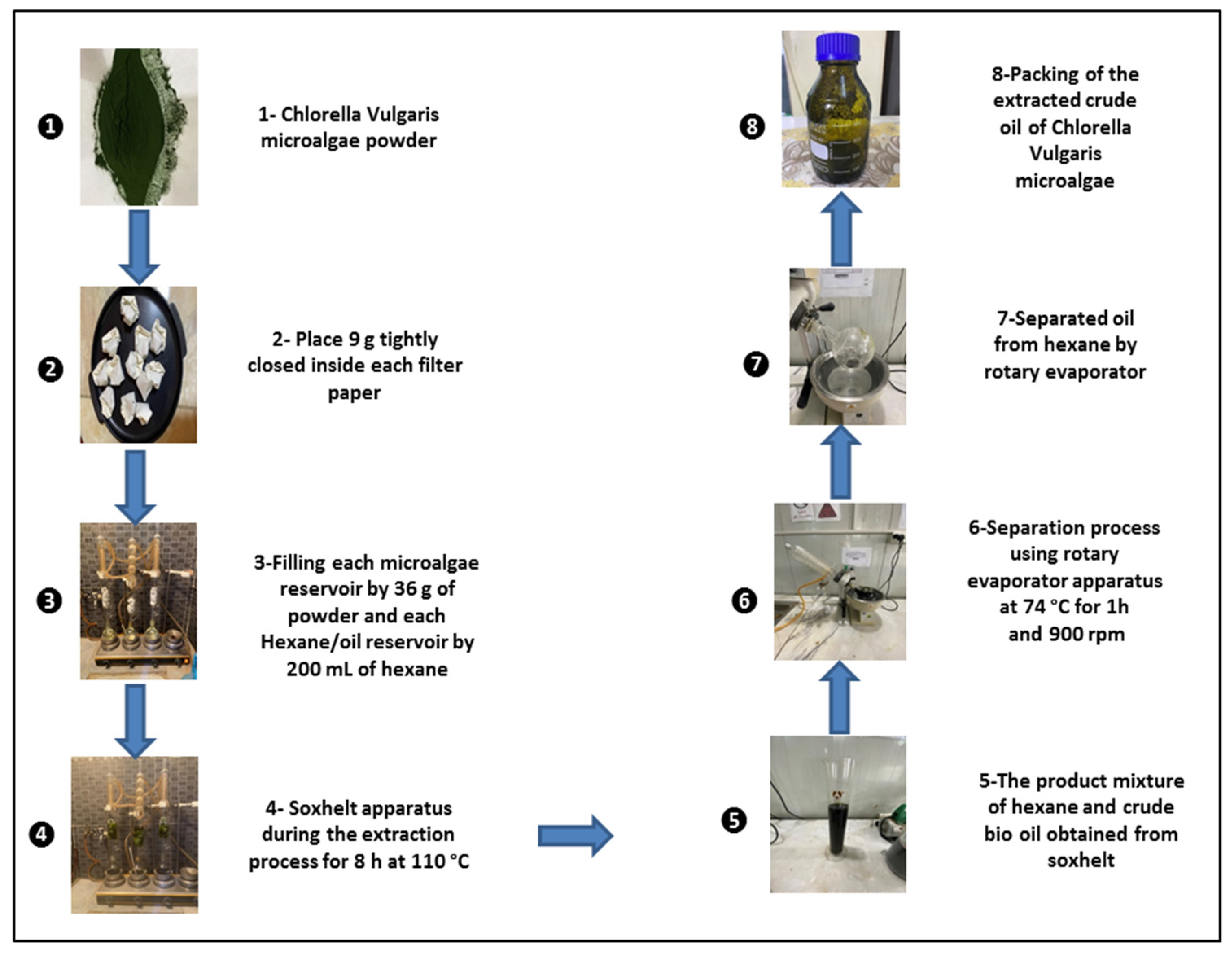 Molecules 27 08018 g002 Molecules 27 08018 g002