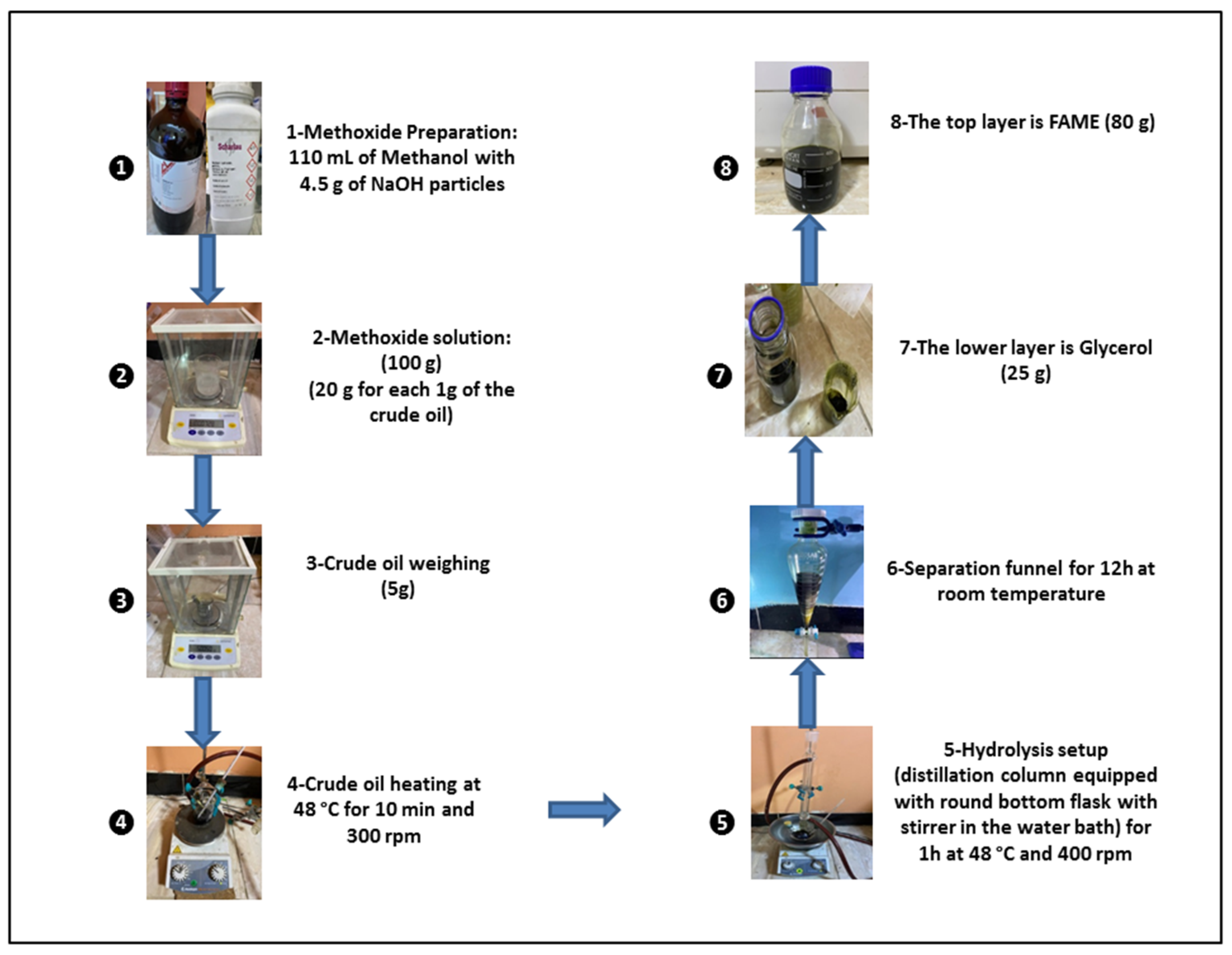 Molecules 27 08018 g003 Molecules 27 08018 g003