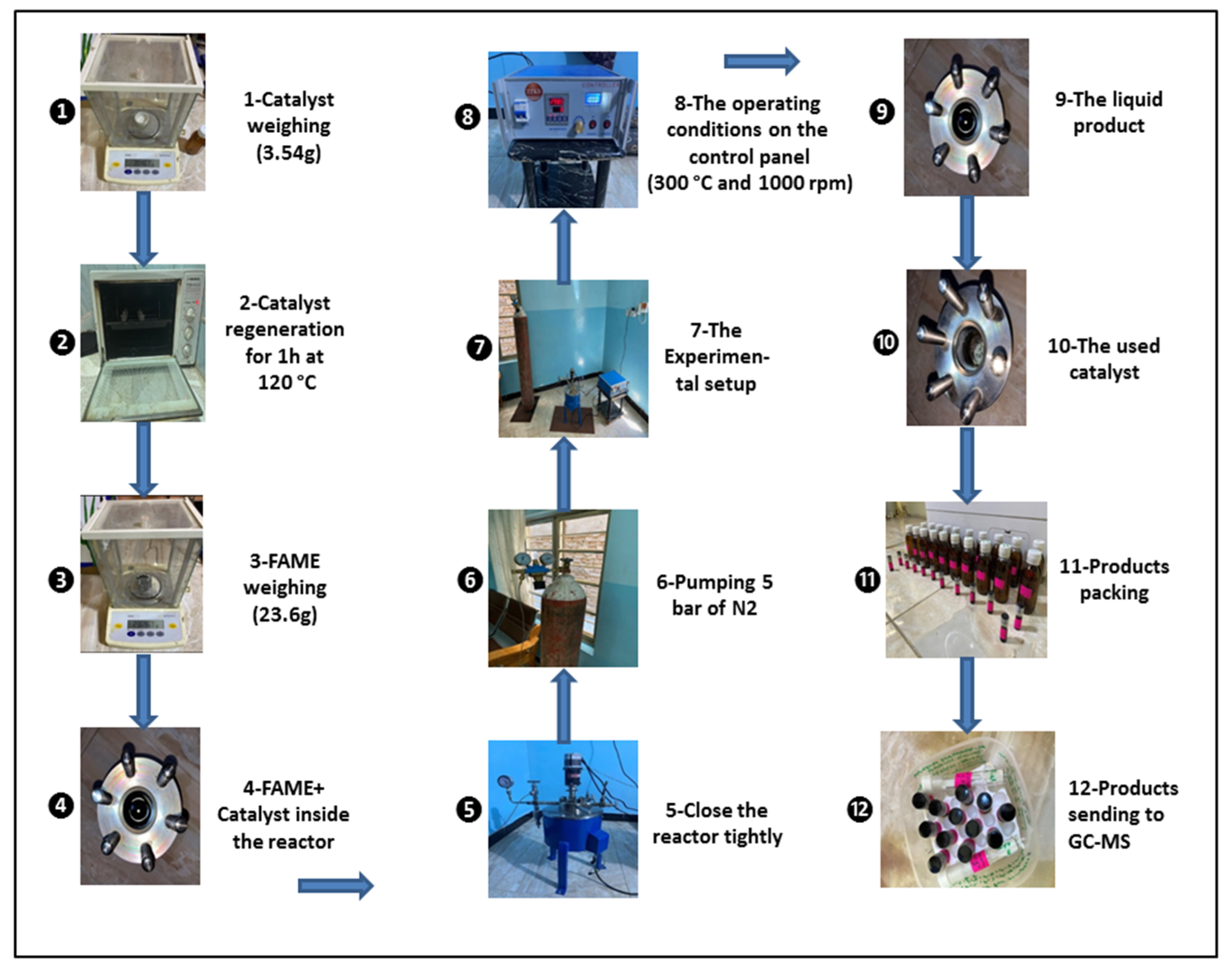 Molecules 27 08018 g005 Molecules 27 08018 g005