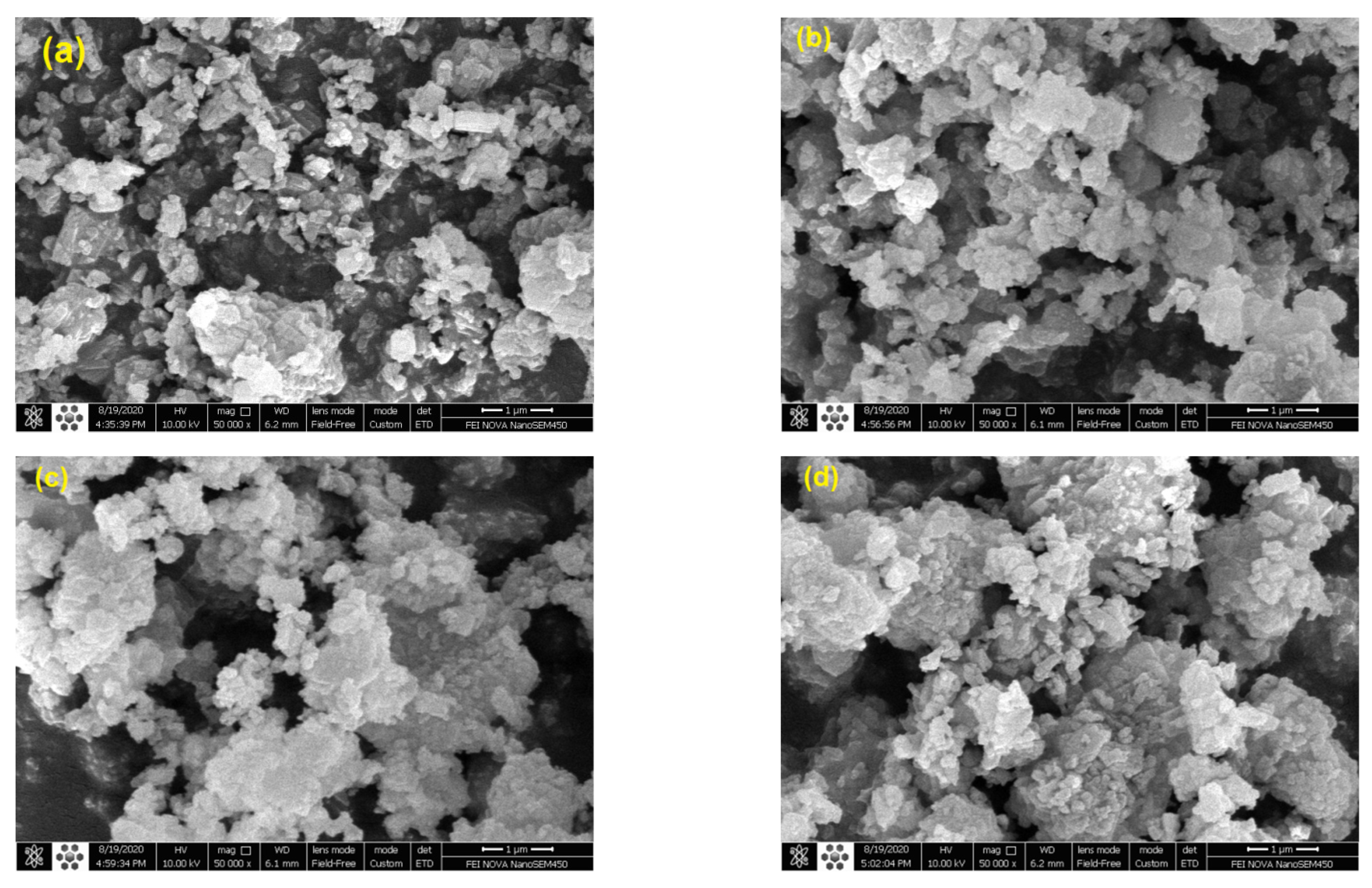 Molecules 27 08018 g010 Molecules 27 08018 g010