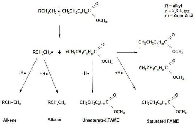 Molecules 27 08018 i004 Molecules 27 08018 i004