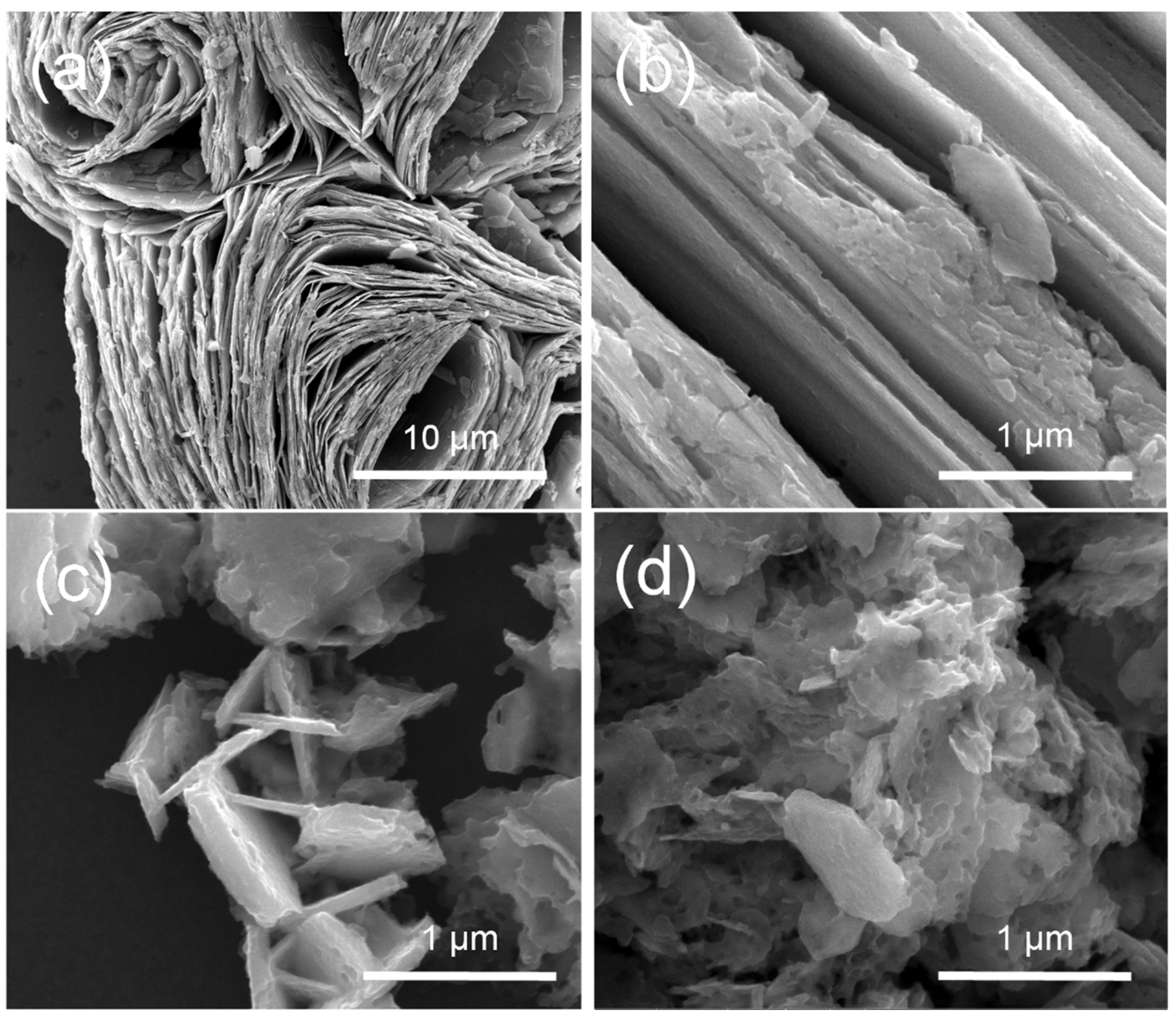 Molecules 27 08019 g003 Molecules 27 08019 g003