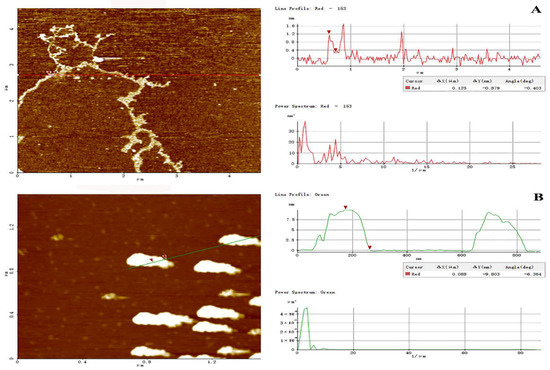 ラズベリー。 Recent advances of lateral flow immunoassay for bacterial