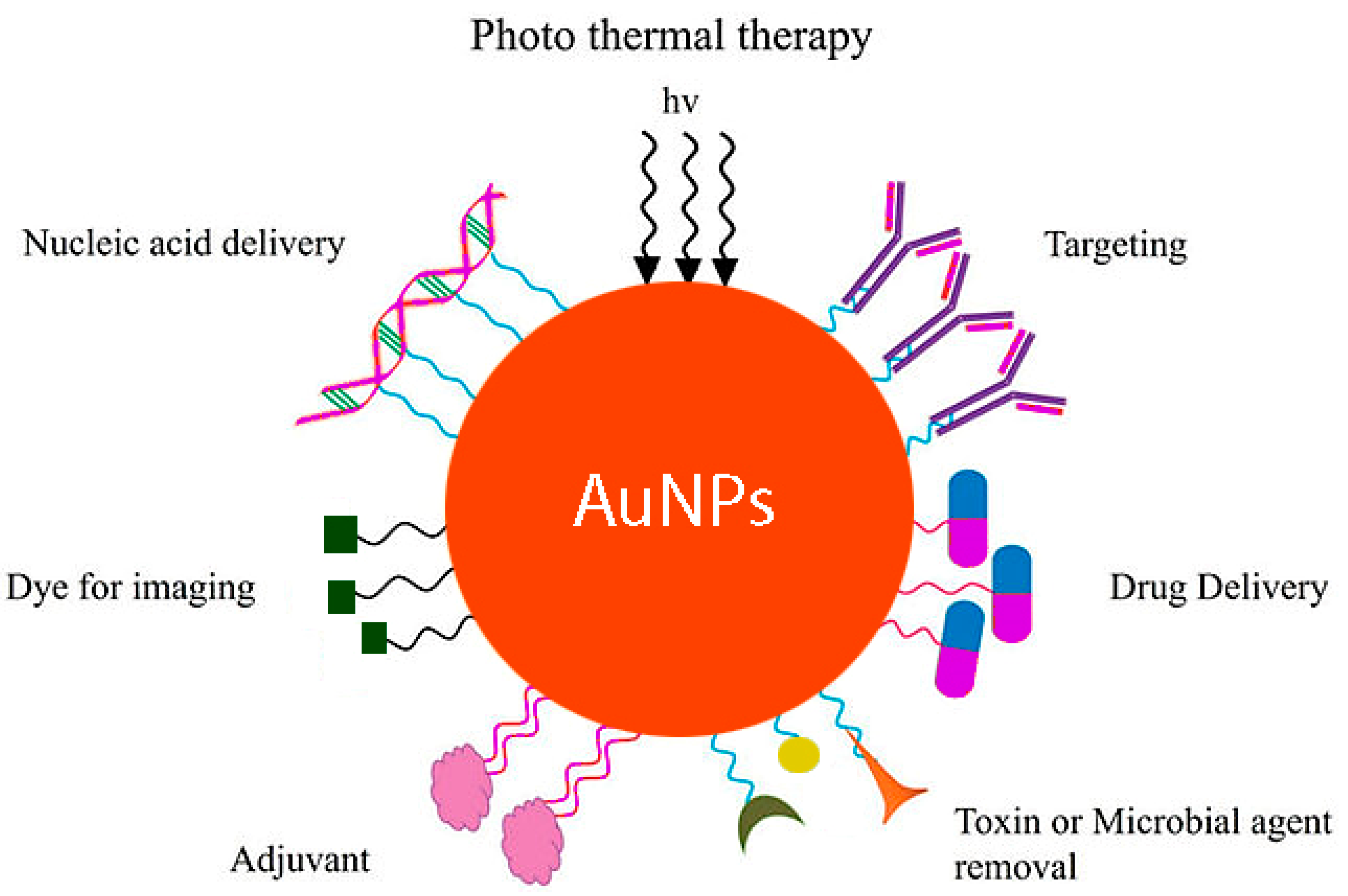 Molecules 27 08027 g002 Molecules 27 08027 g002