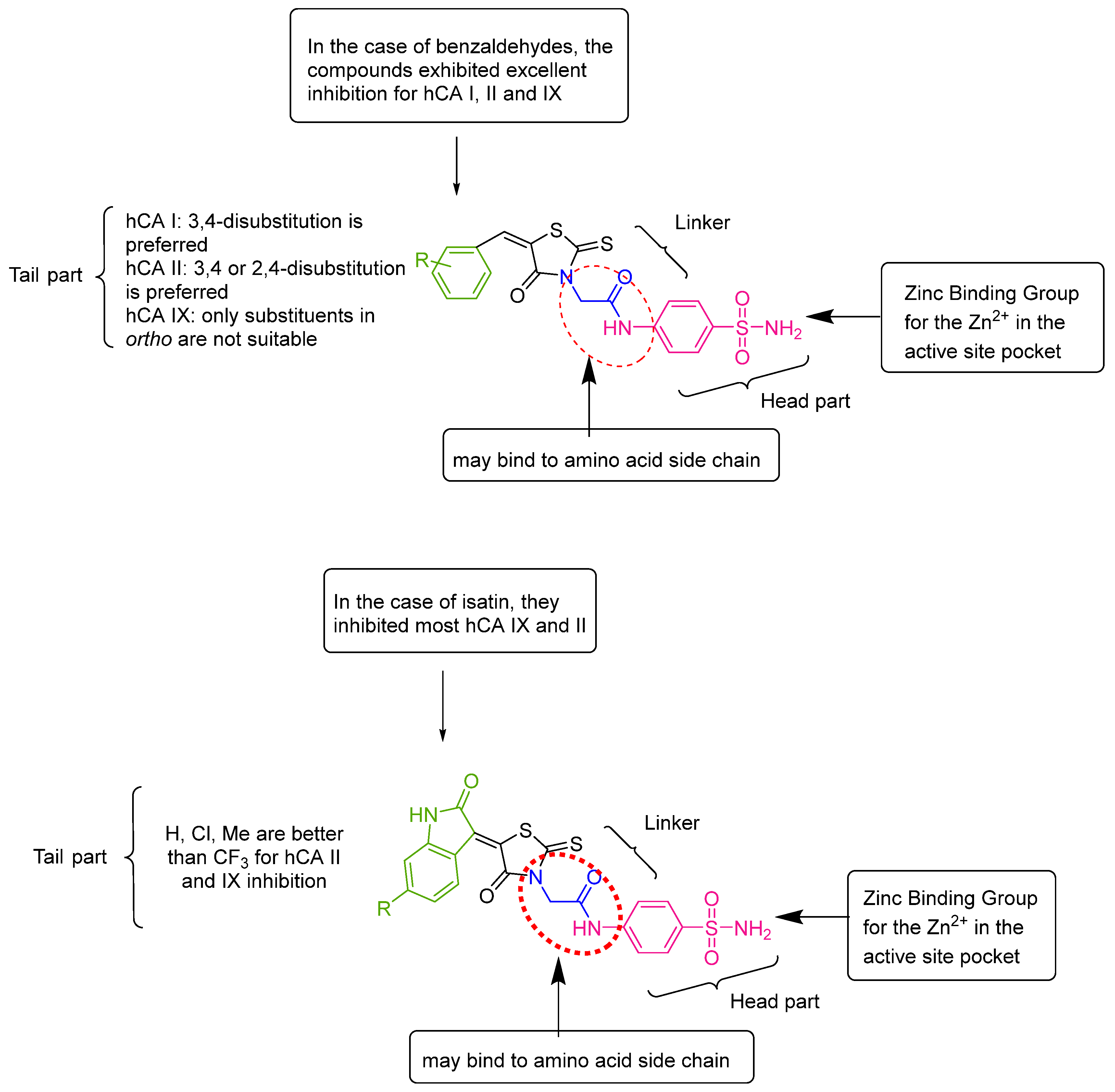 Molecules 27 08028 g002 Molecules 27 08028 g002