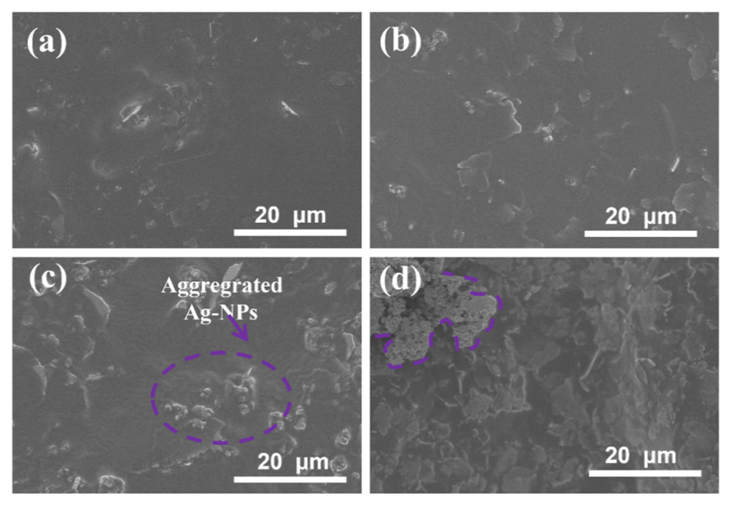 Molecules 27 08030 g005