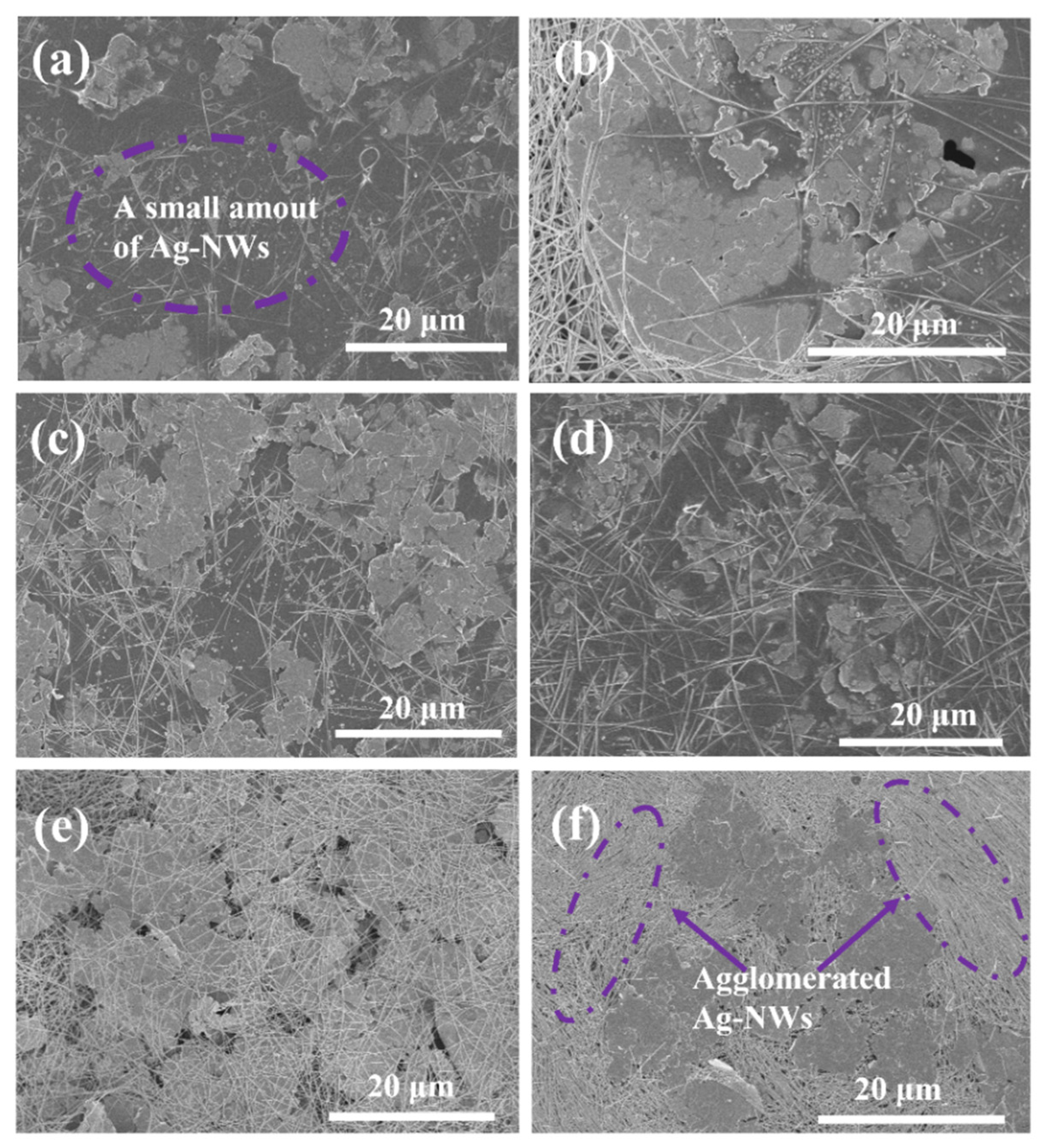 Molecules 27 08030 g006