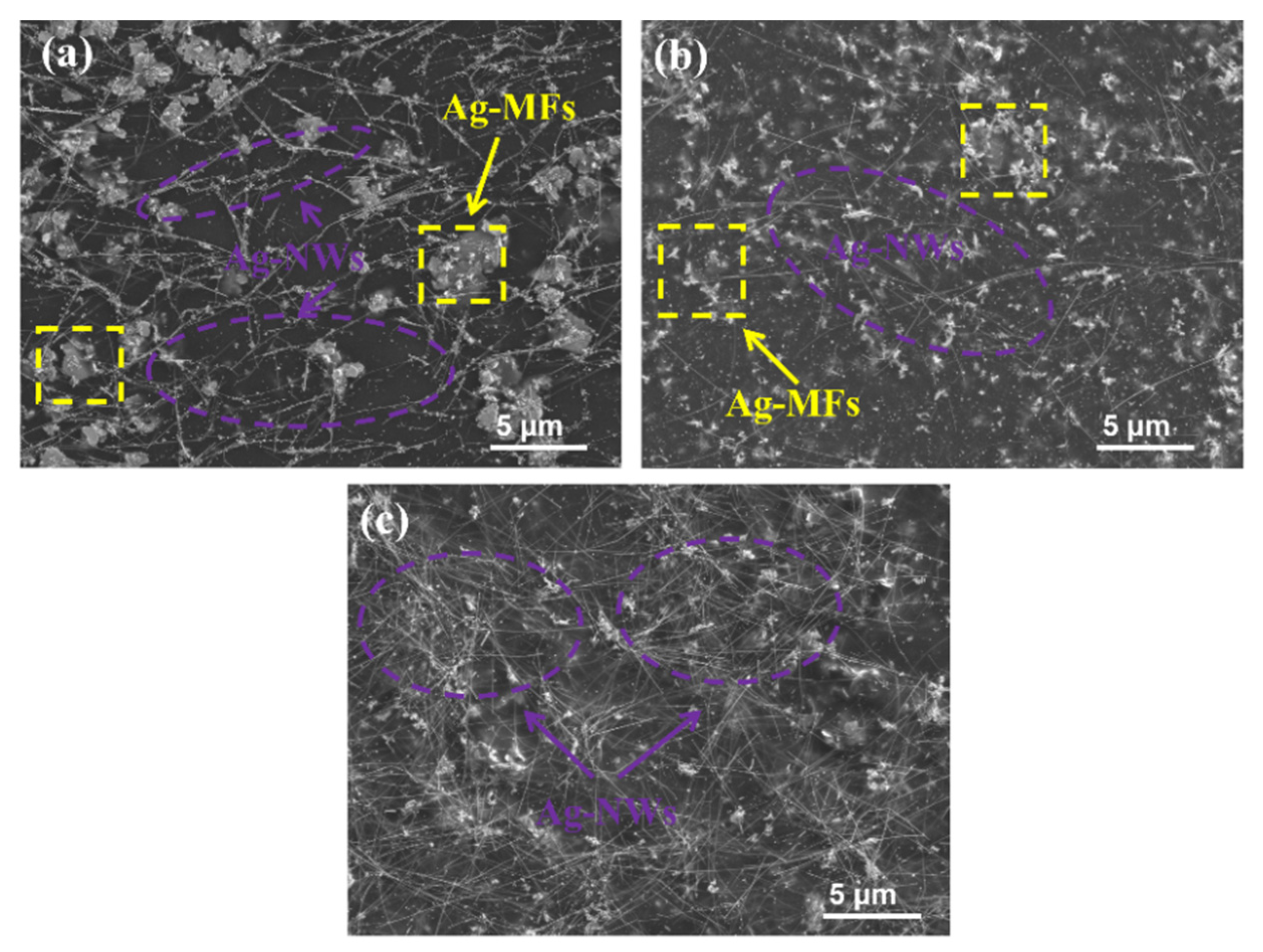 Molecules 27 08030 g007