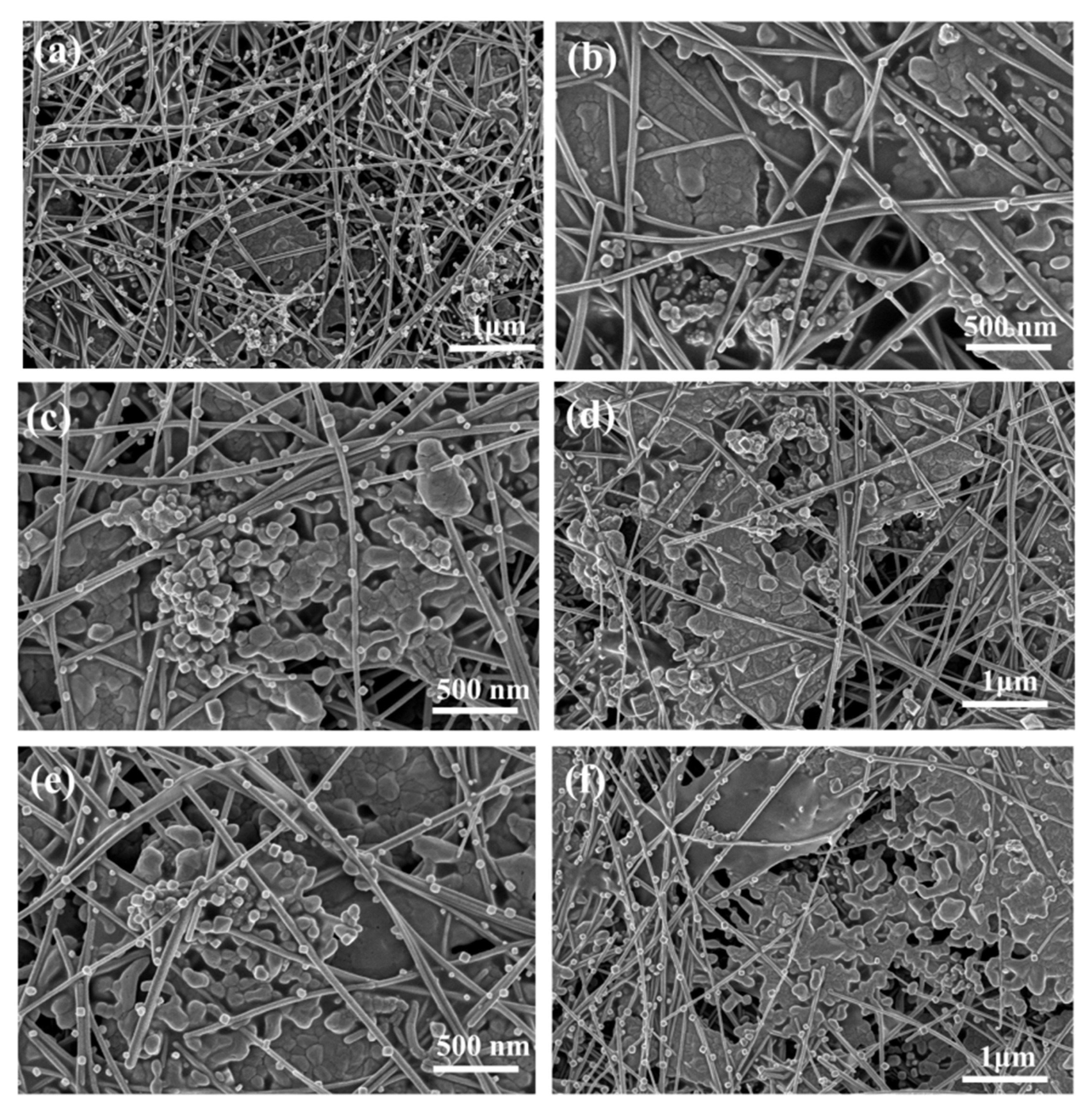 Molecules 27 08030 g008