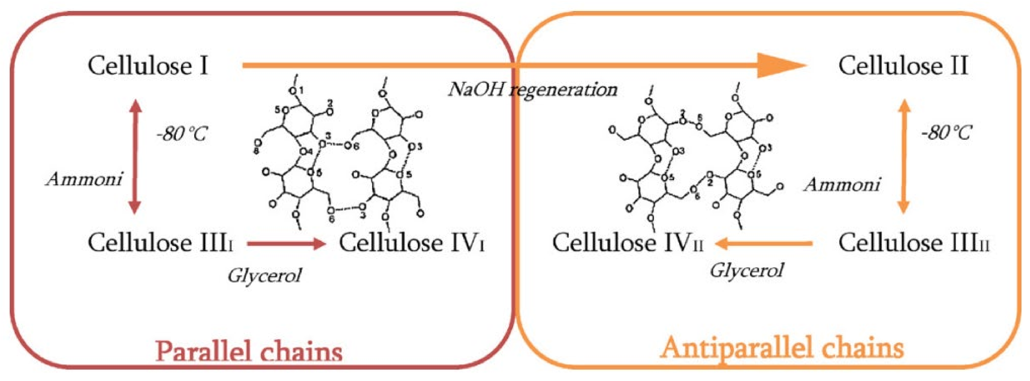Molecules 27 08032 g002 Molecules 27 08032 g002