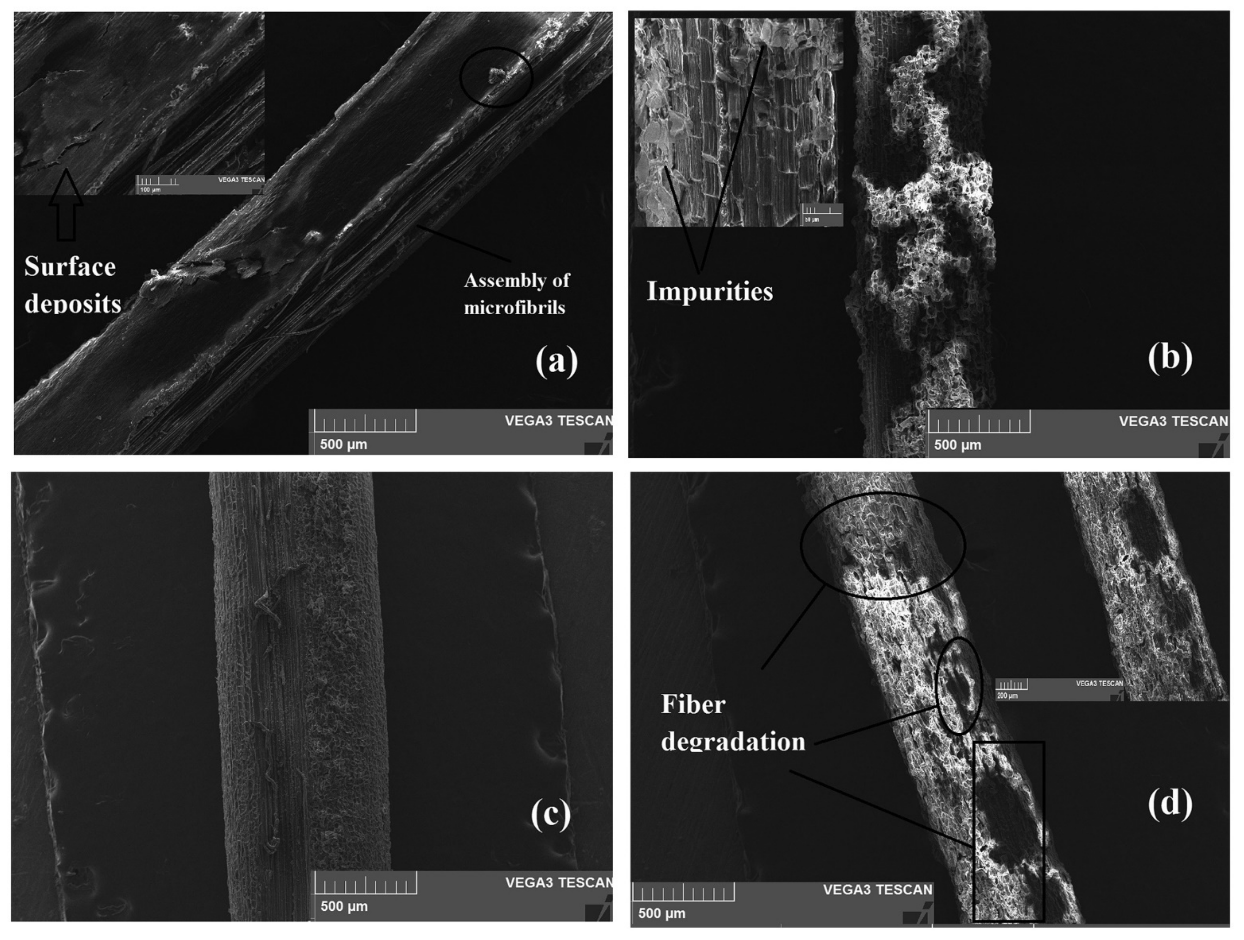 Molecules 27 08032 g007 Molecules 27 08032 g007