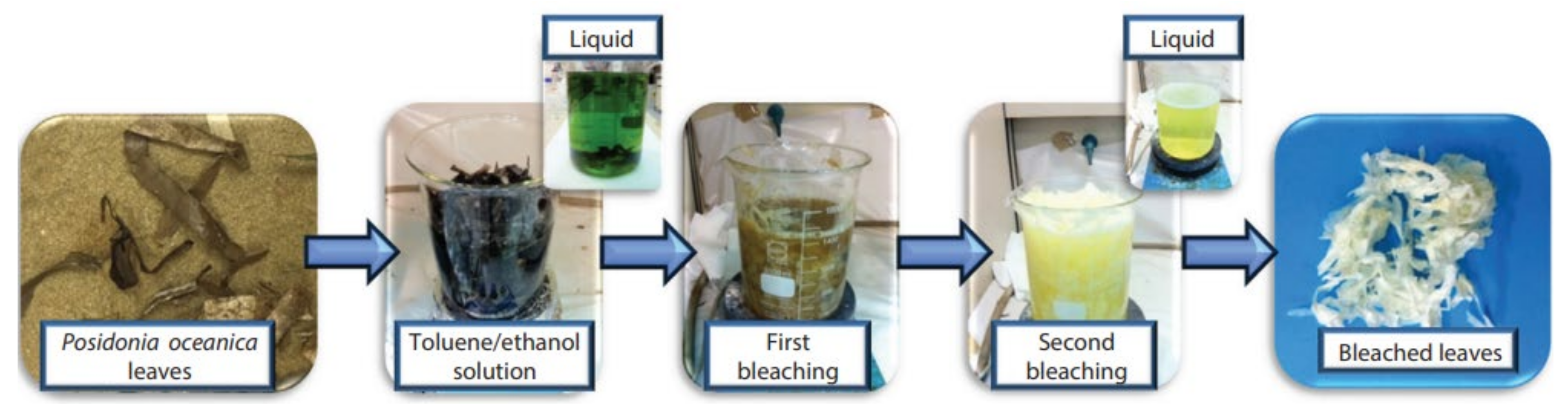Molecules 27 08032 g008 Molecules 27 08032 g008