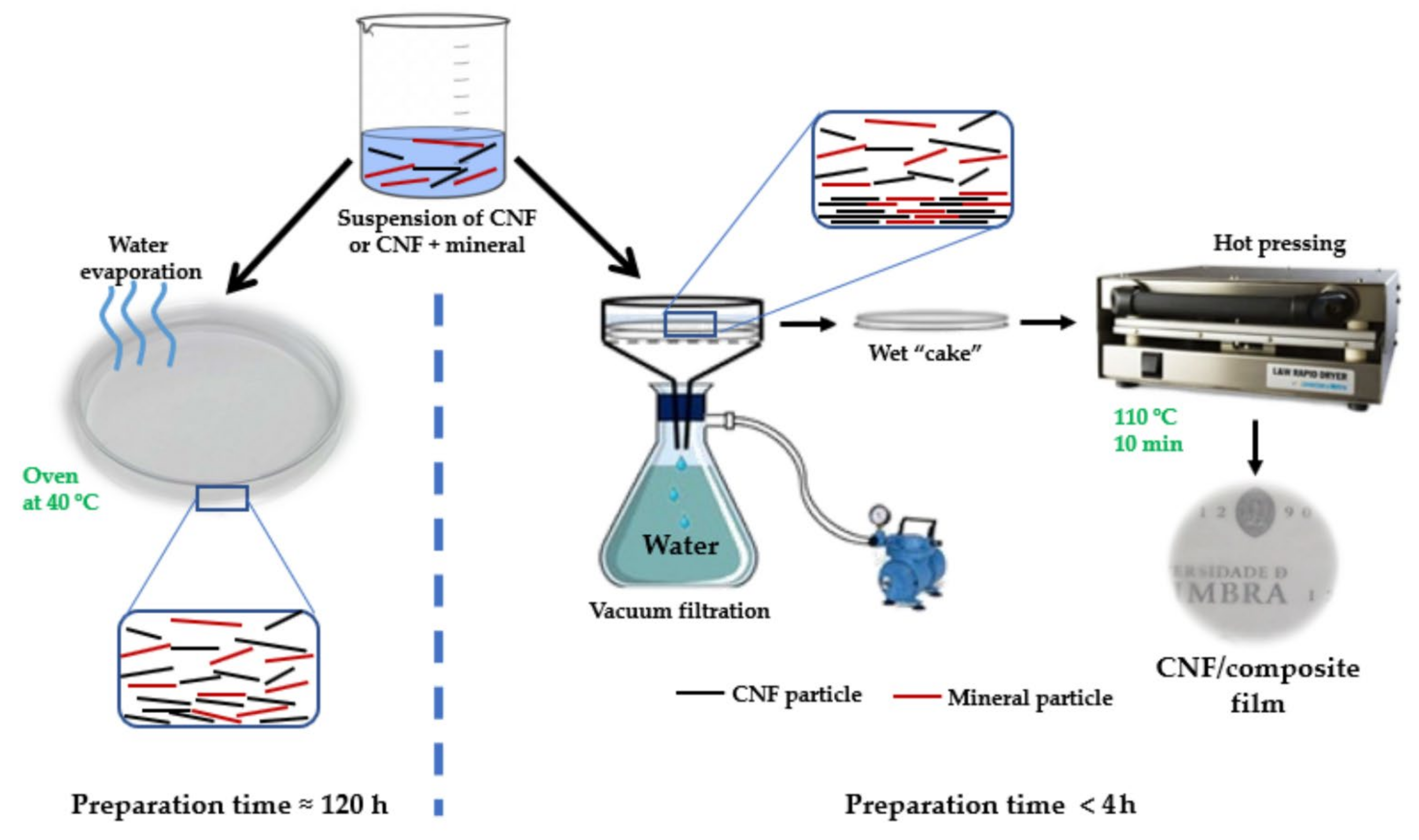 Molecules 27 08032 g012 Molecules 27 08032 g012