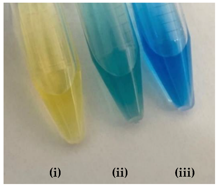 Molecules 27 08048 i006