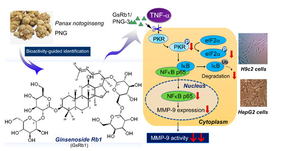 DQN　K Thiocysteine lyases as polyketide synthase domains