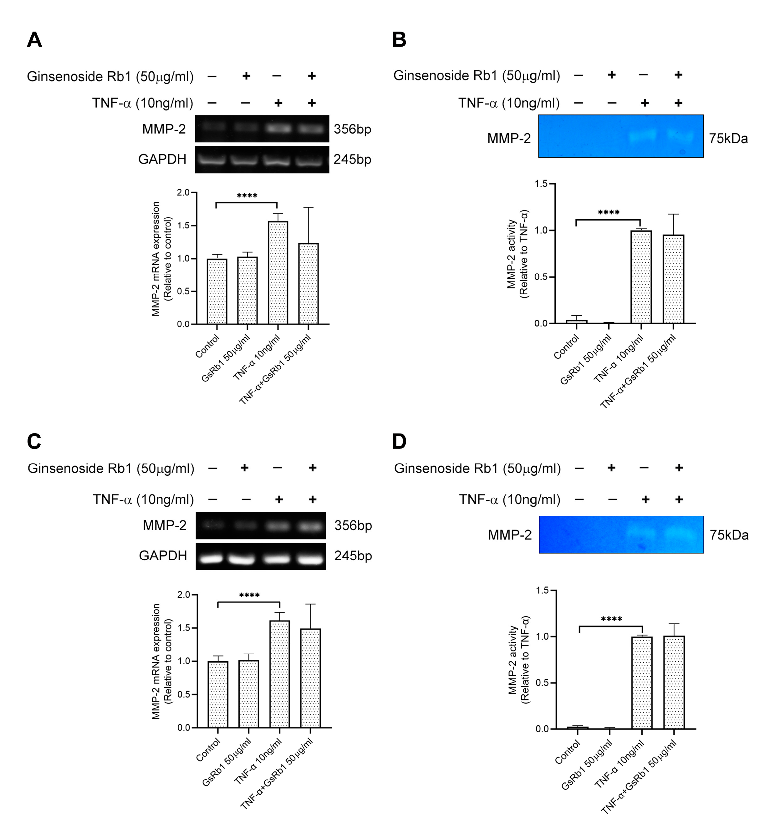 Molecules 27 08050 g005