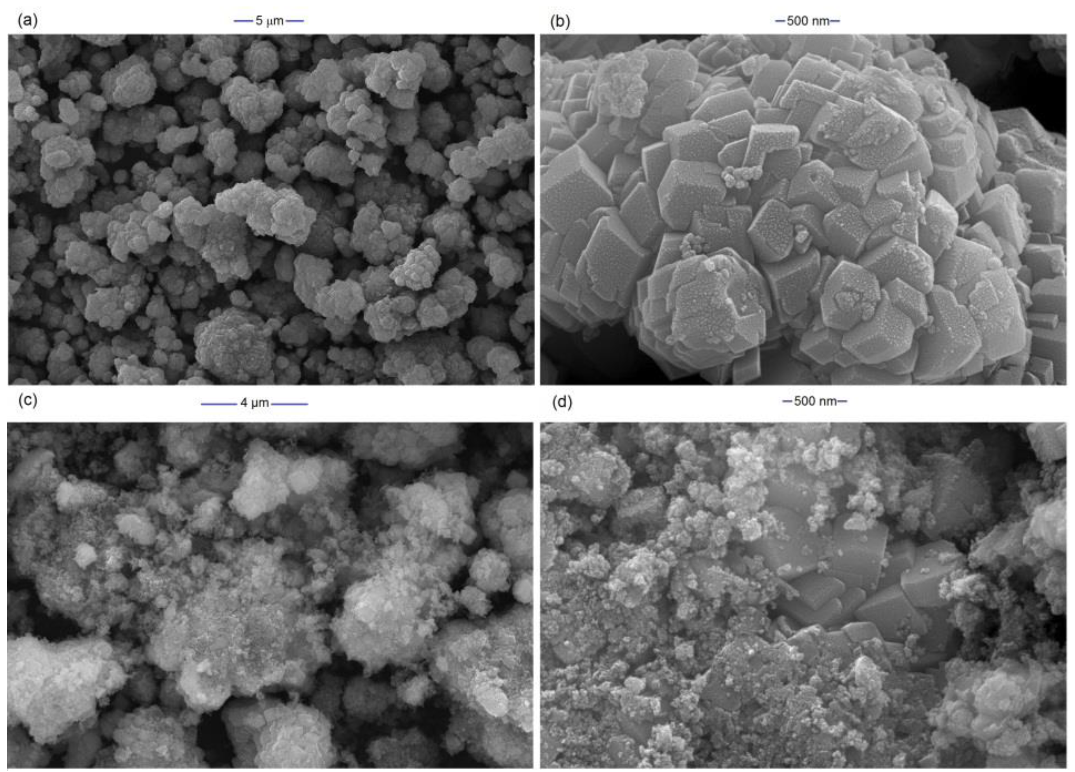 Molecules 27 08056 g001 Molecules 27 08056 g001
