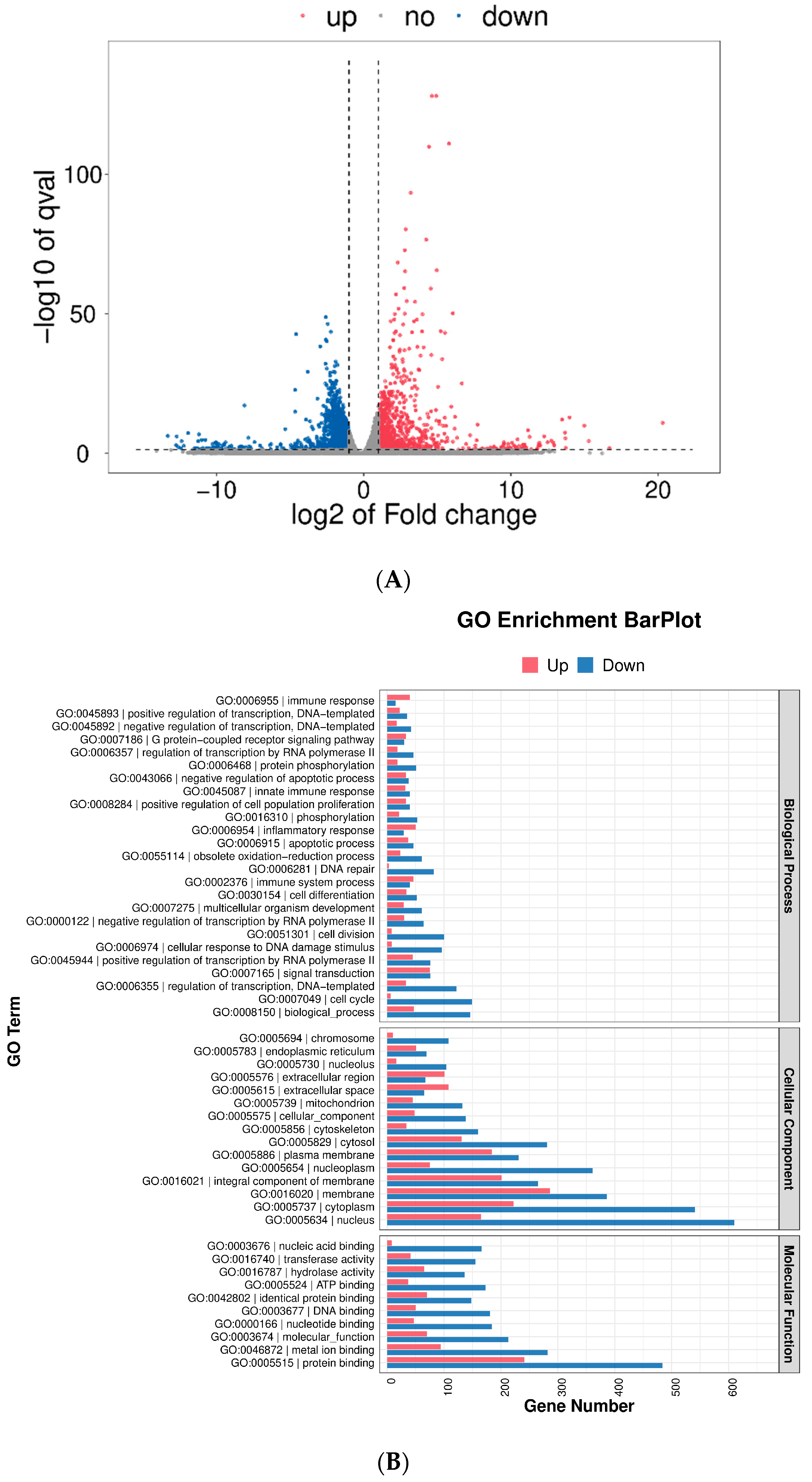 Molecules 27 08059 g006a Molecules 27 08059 g006a