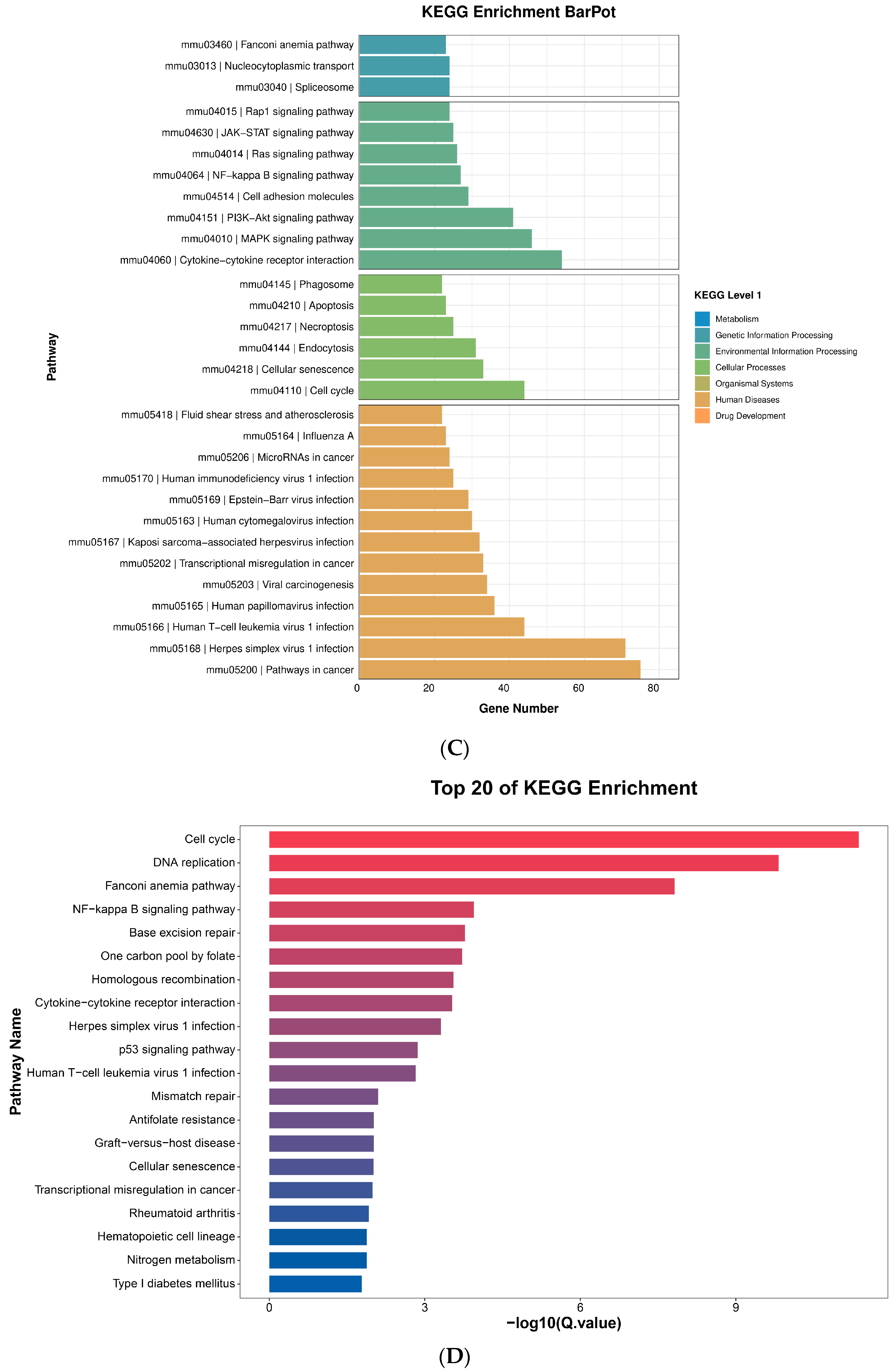 Molecules 27 08059 g006b Molecules 27 08059 g006b