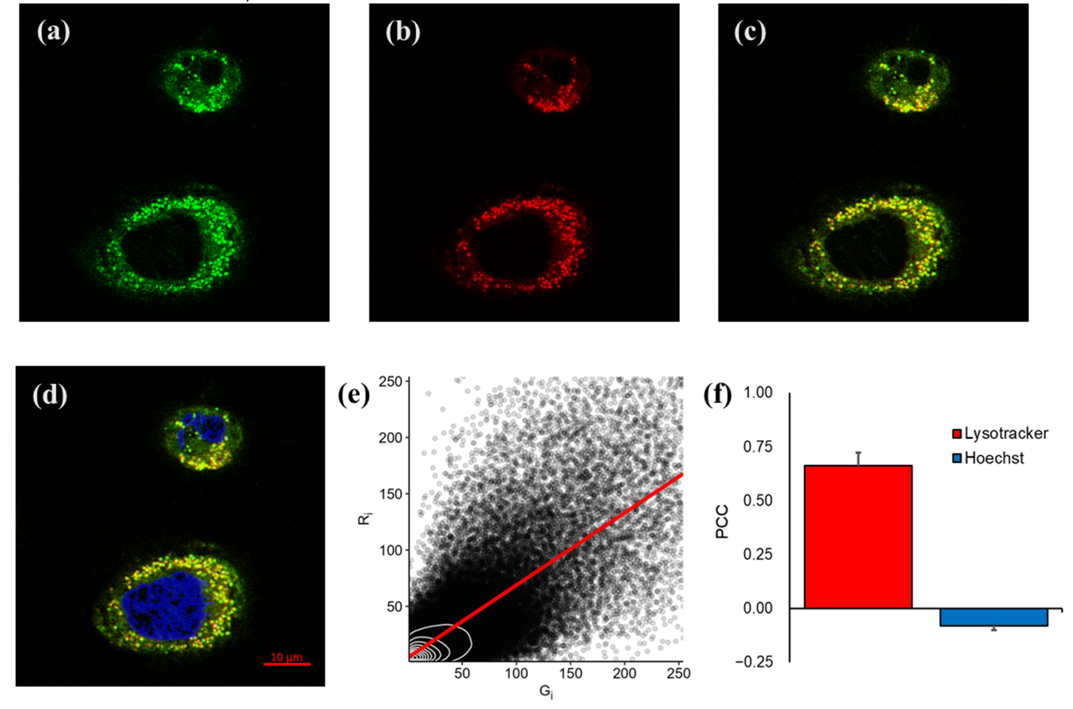 Molecules 27 08065 g006