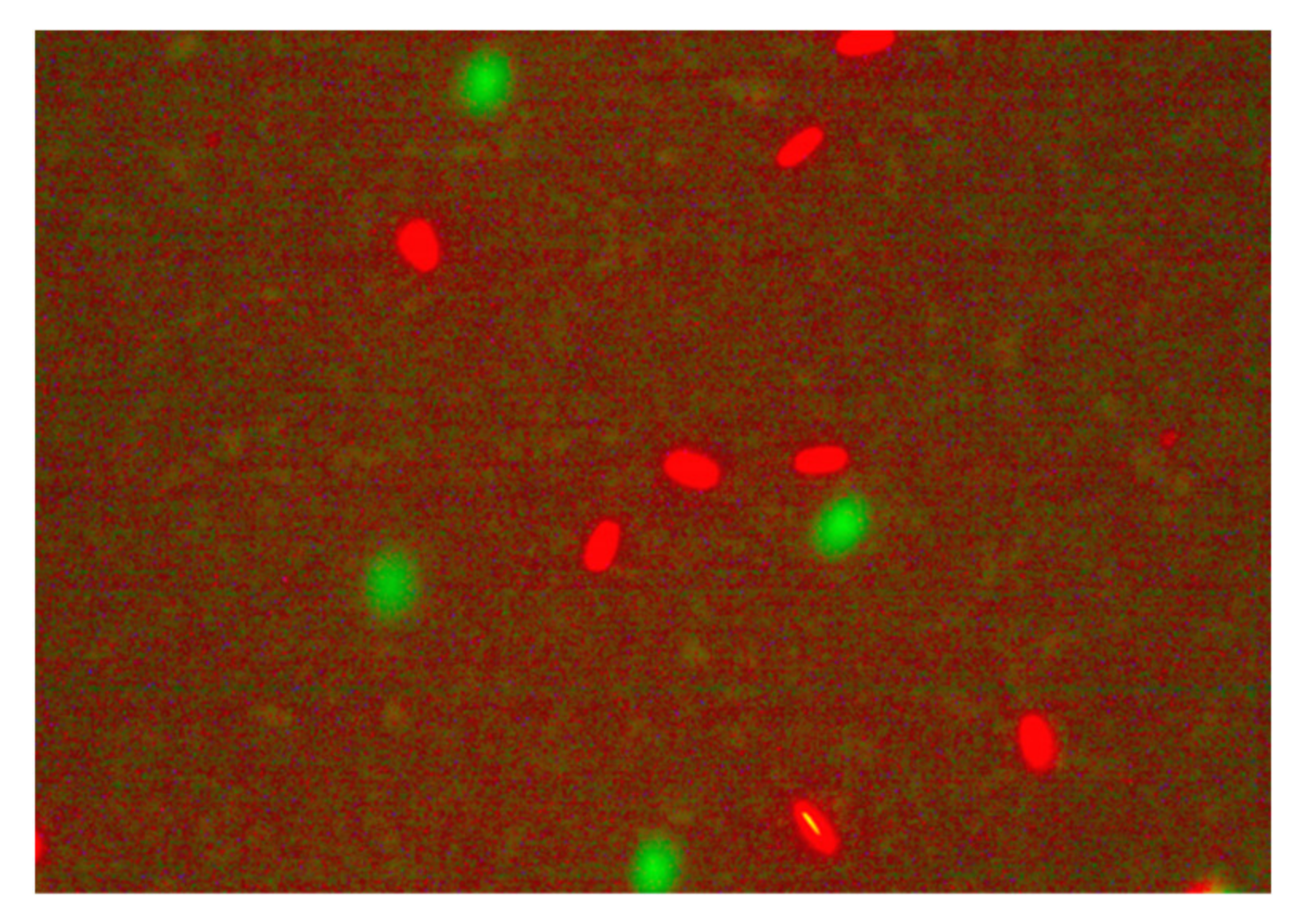 Molecules 27 08070 g001