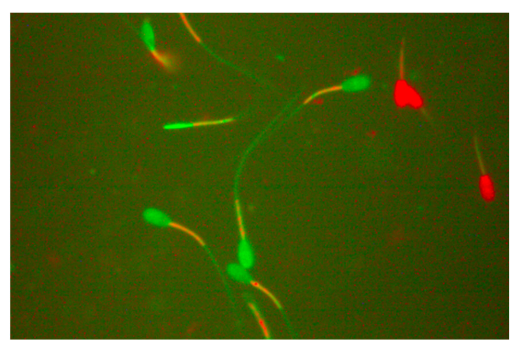 Molecules 27 08070 g003