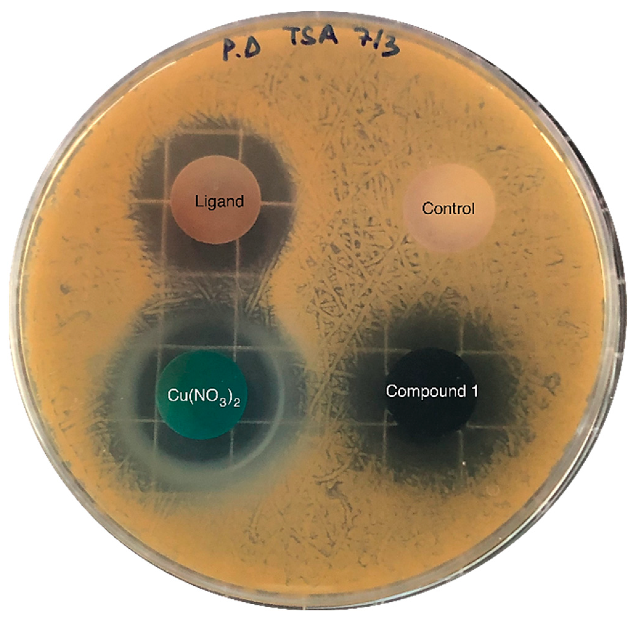 Molecules 27 08073 g005