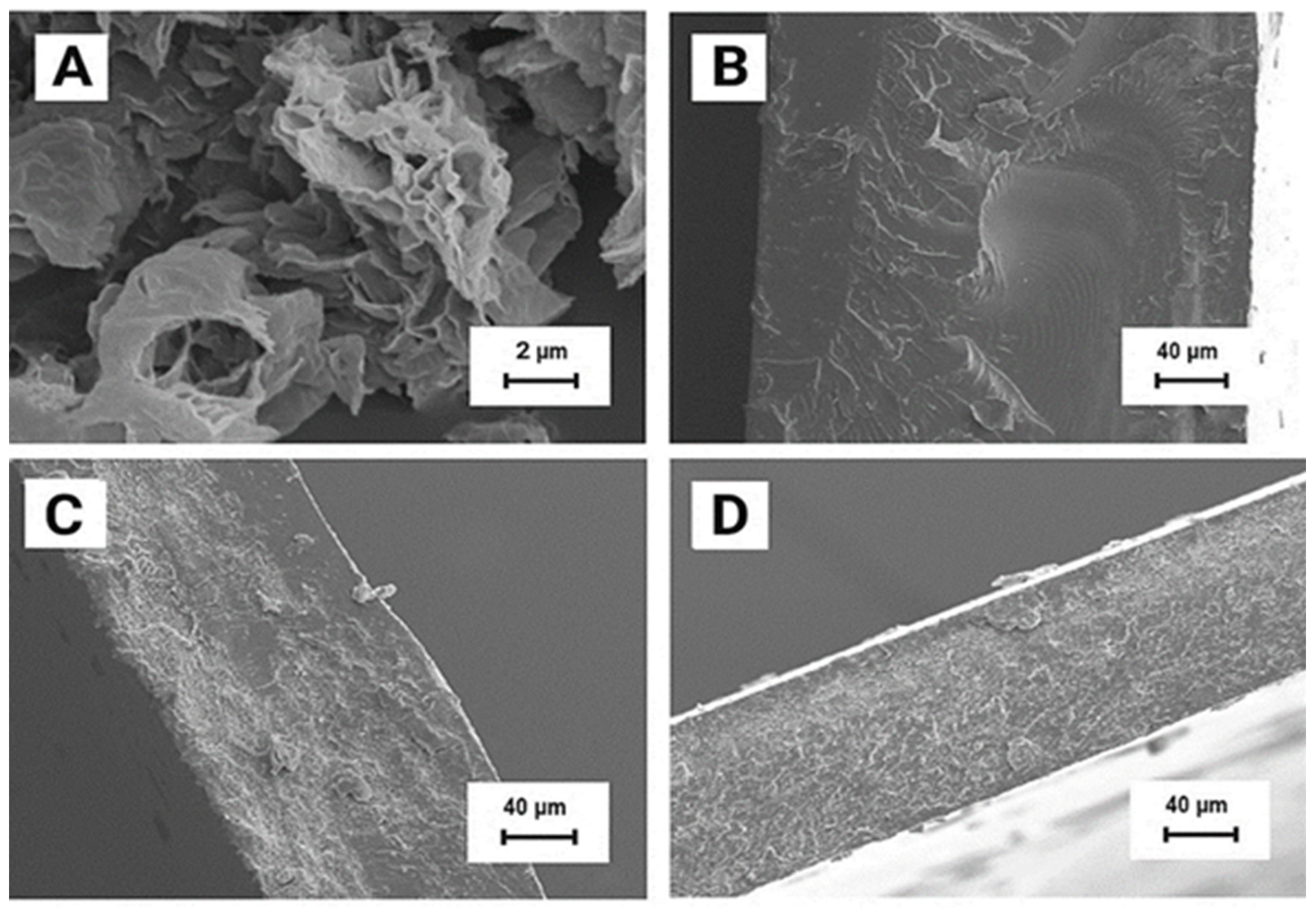 Molecules 27 08081 g003 Molecules 27 08081 g003