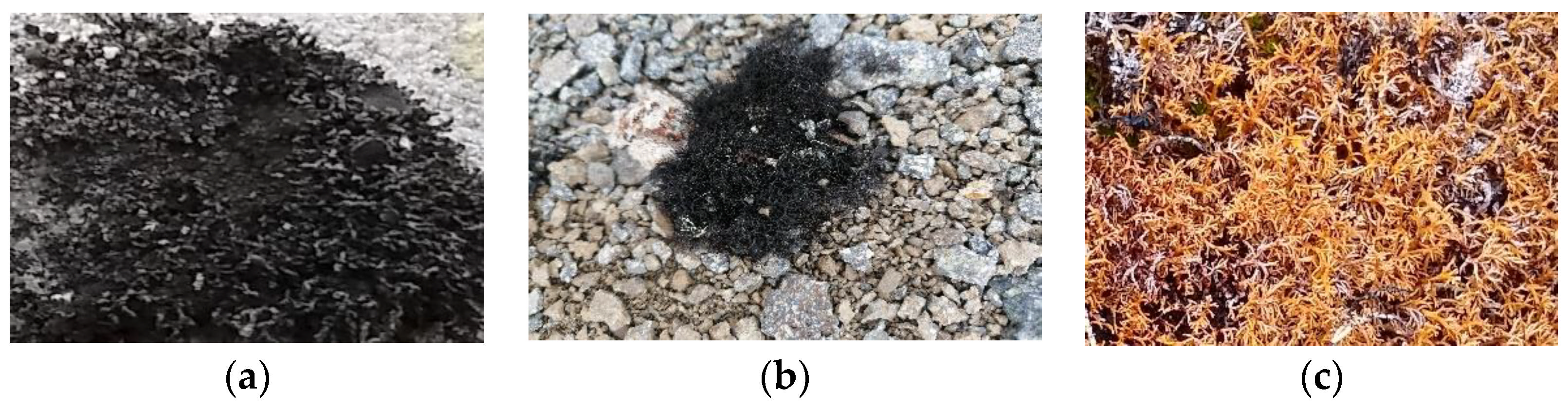 Molecules 27 08086 g001 Molecules 27 08086 g001