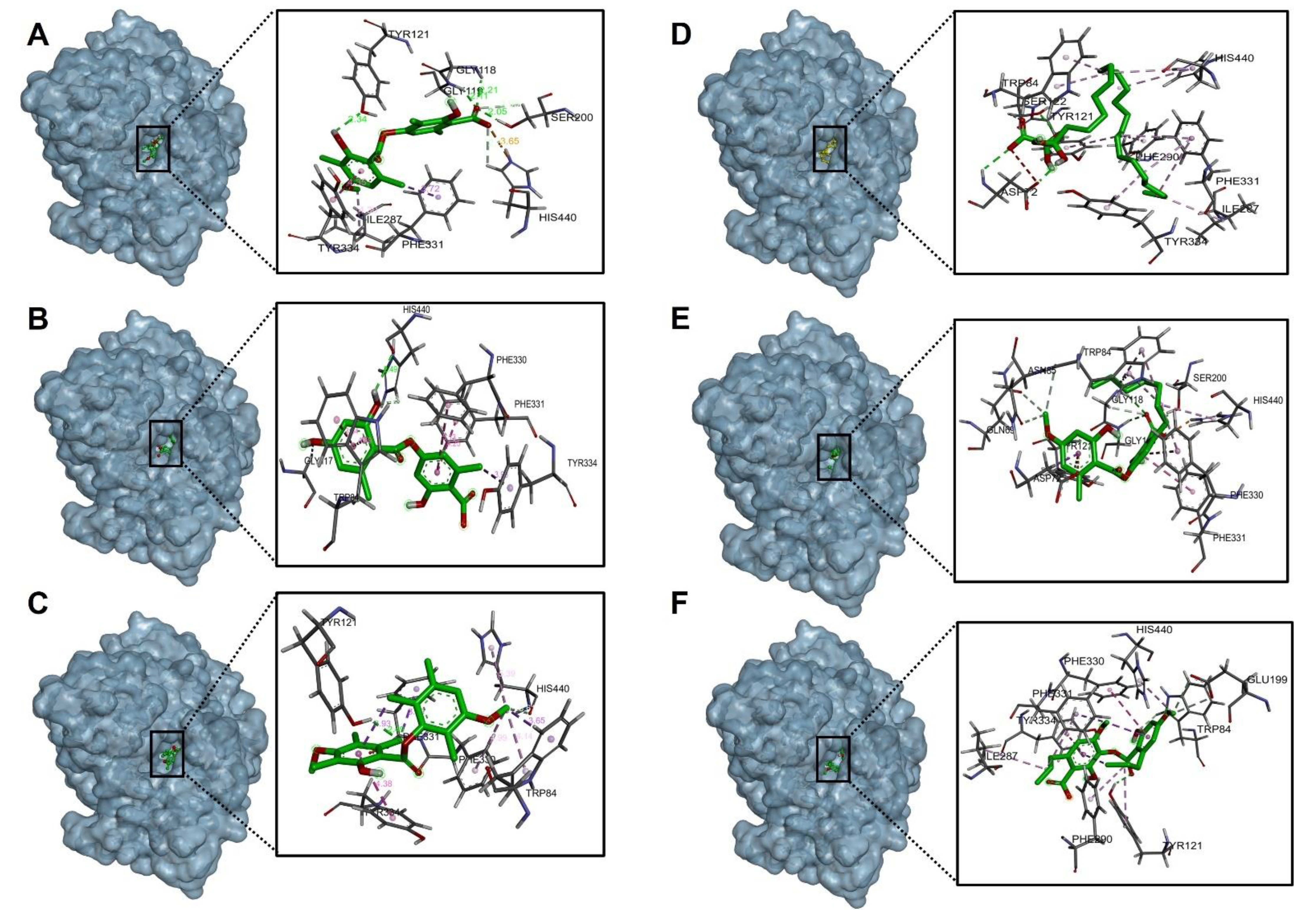 Molecules 27 08086 g003 Molecules 27 08086 g003