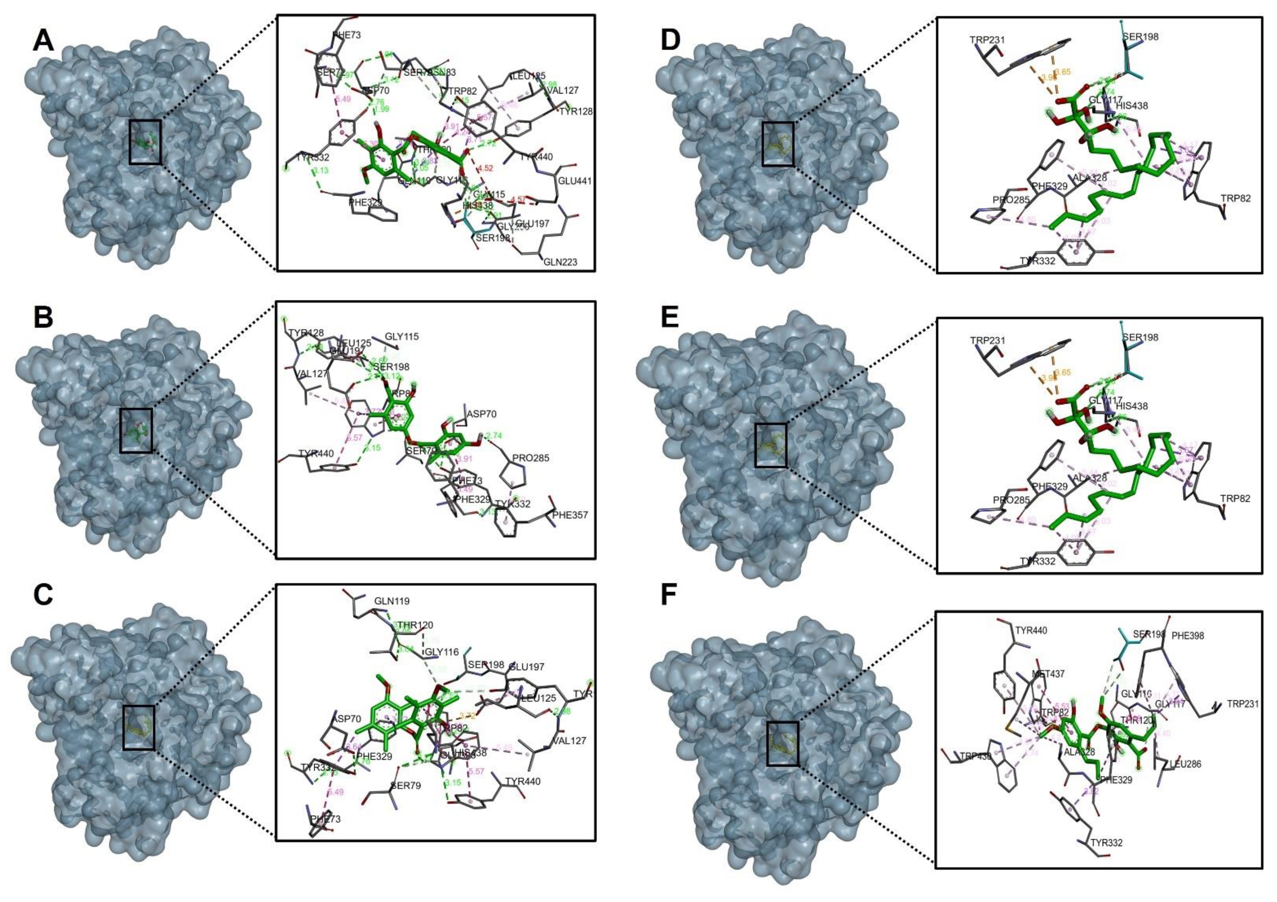 Molecules 27 08086 g005 Molecules 27 08086 g005