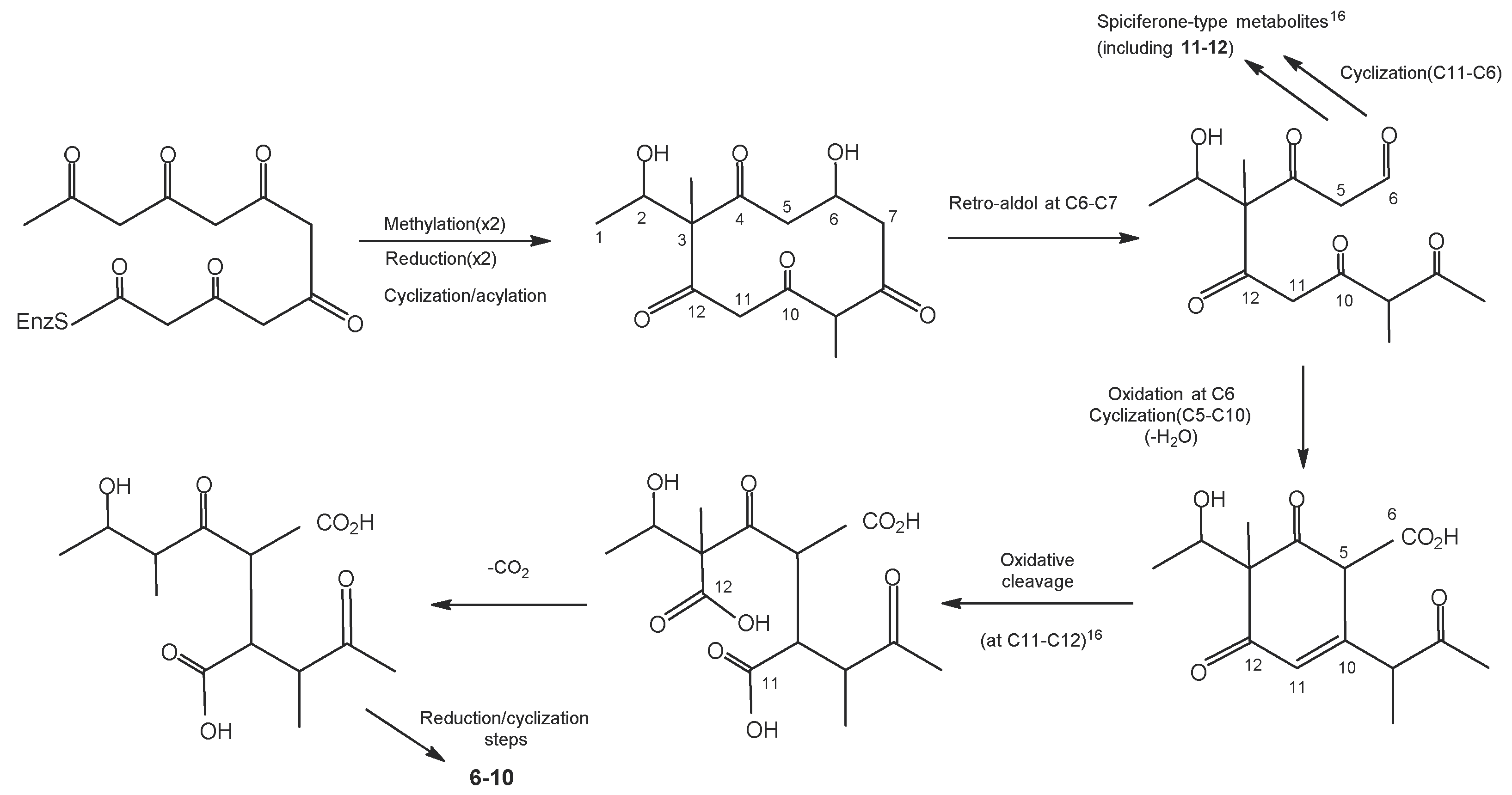 Molecules 27 08088 g001