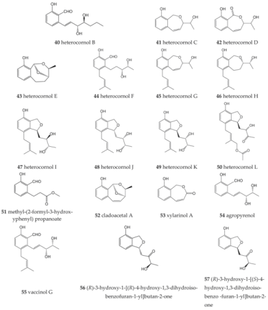 Molecules 27 08088 i006