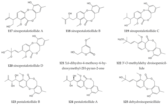 Molecules 27 08088 i019