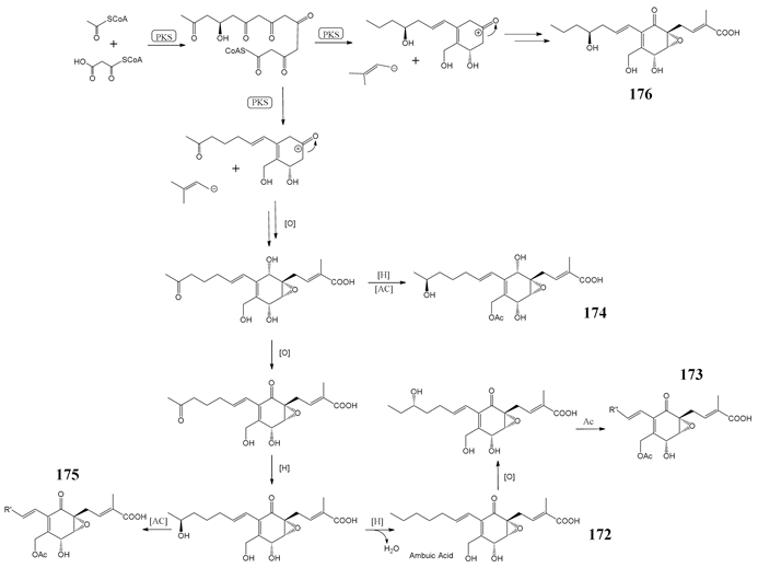 Molecules 27 08088 i028