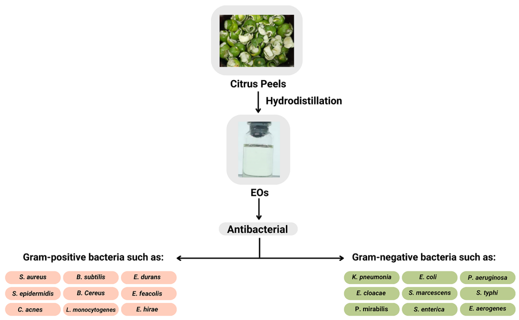 Molecules 27 08090 g001