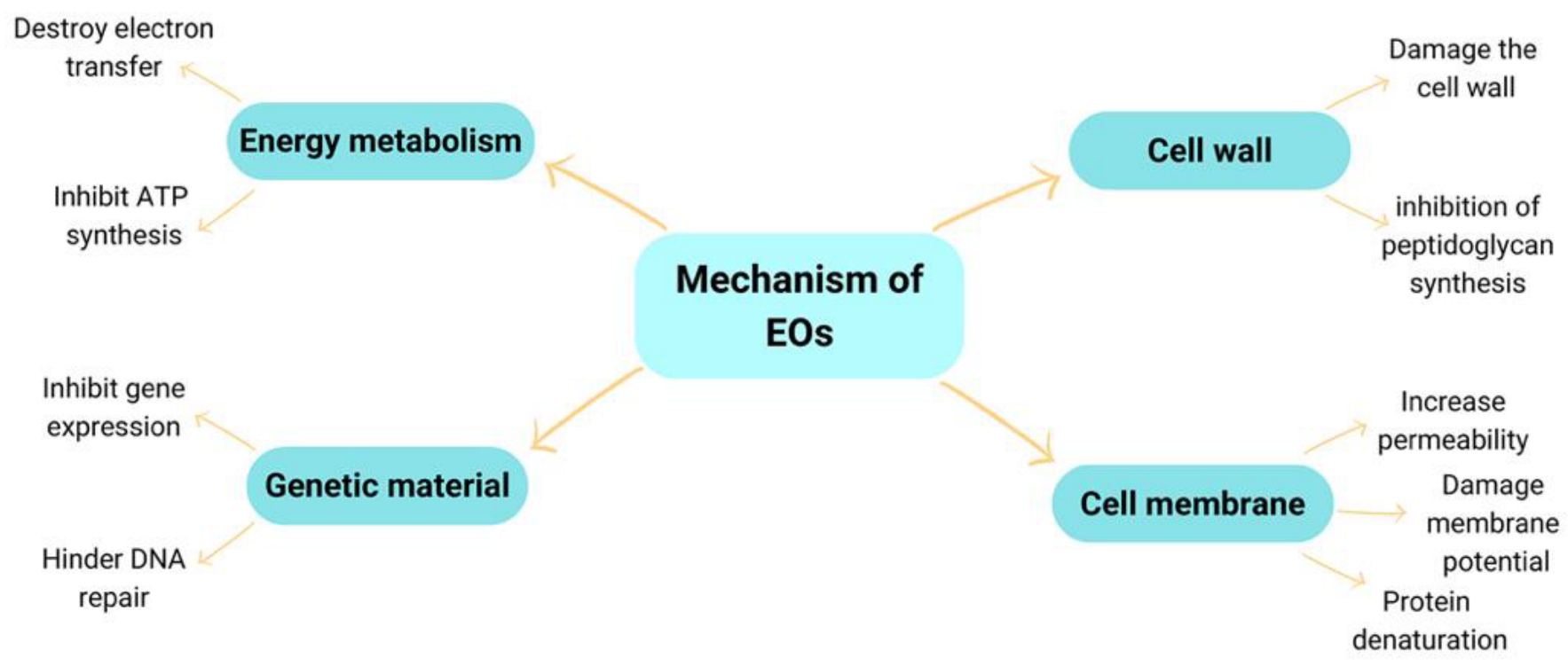 Molecules 27 08090 g003