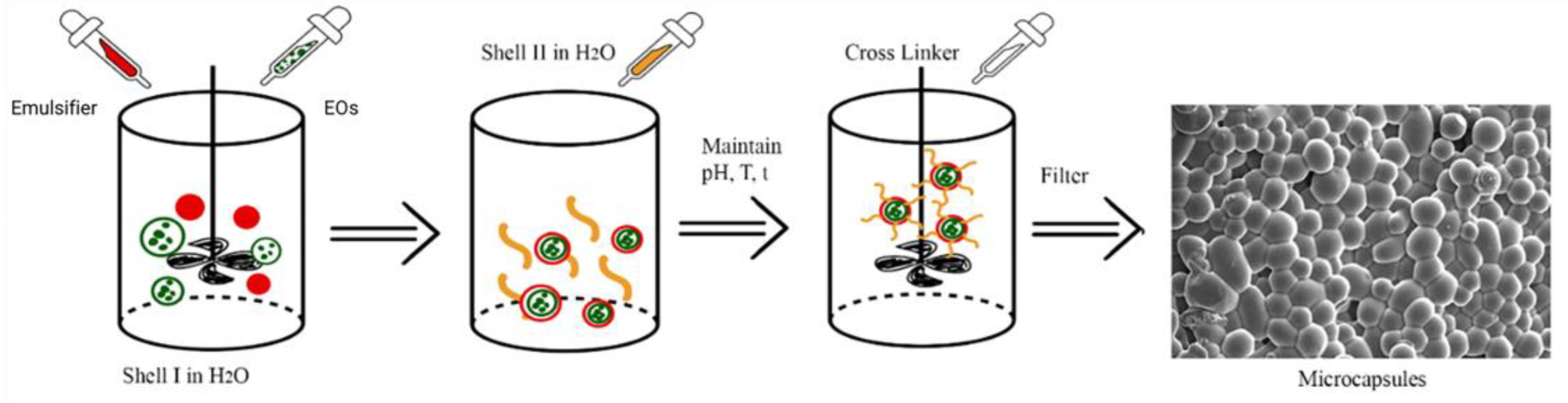 Molecules 27 08090 g004