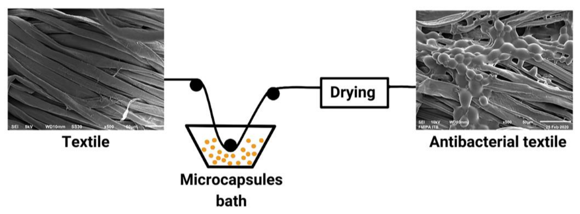 Molecules 27 08090 g005