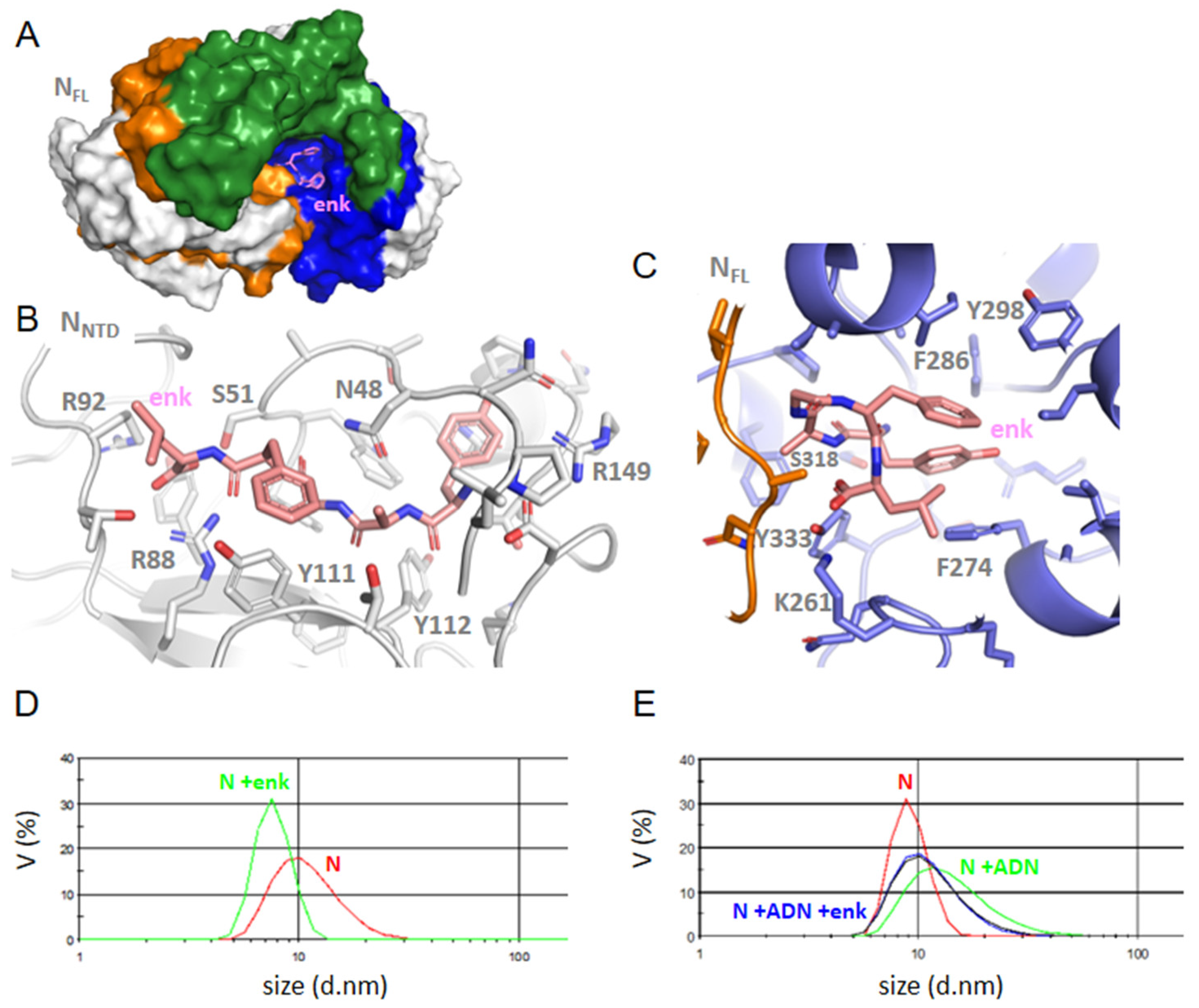 Molecules 27 08094 g006 Molecules 27 08094 g006